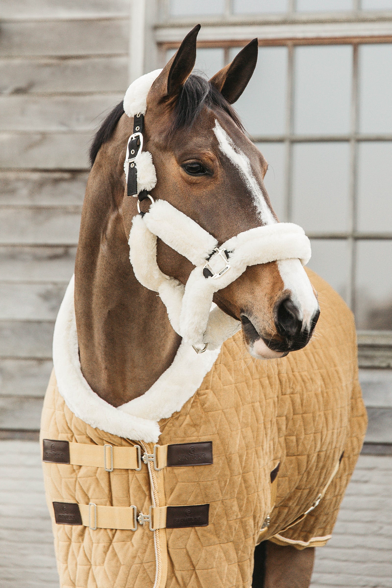 Kentucky Horsewear Pony Showdeken Velvet, 160g Paardendekens