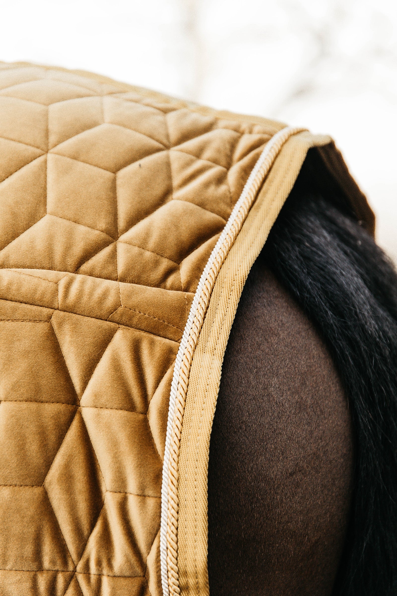 Kentucky Horsewear Velvet Pony Show Rug, 160g Horse Rugs