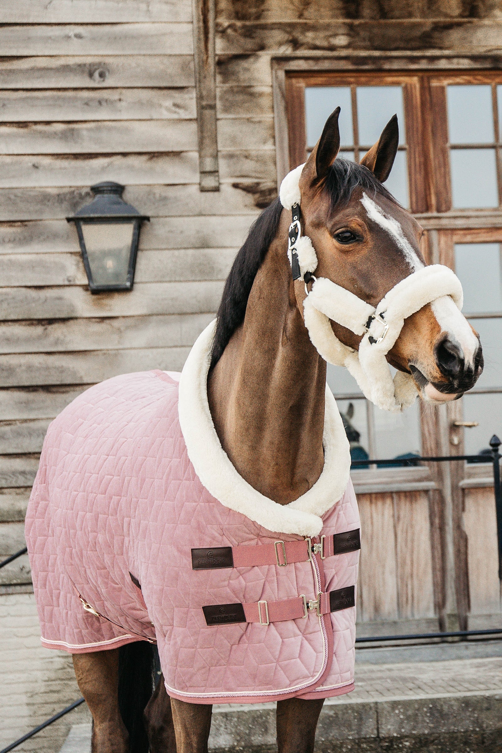 Kentucky Horsewear Pony Showdeken Velvet, 160g Paardendekens