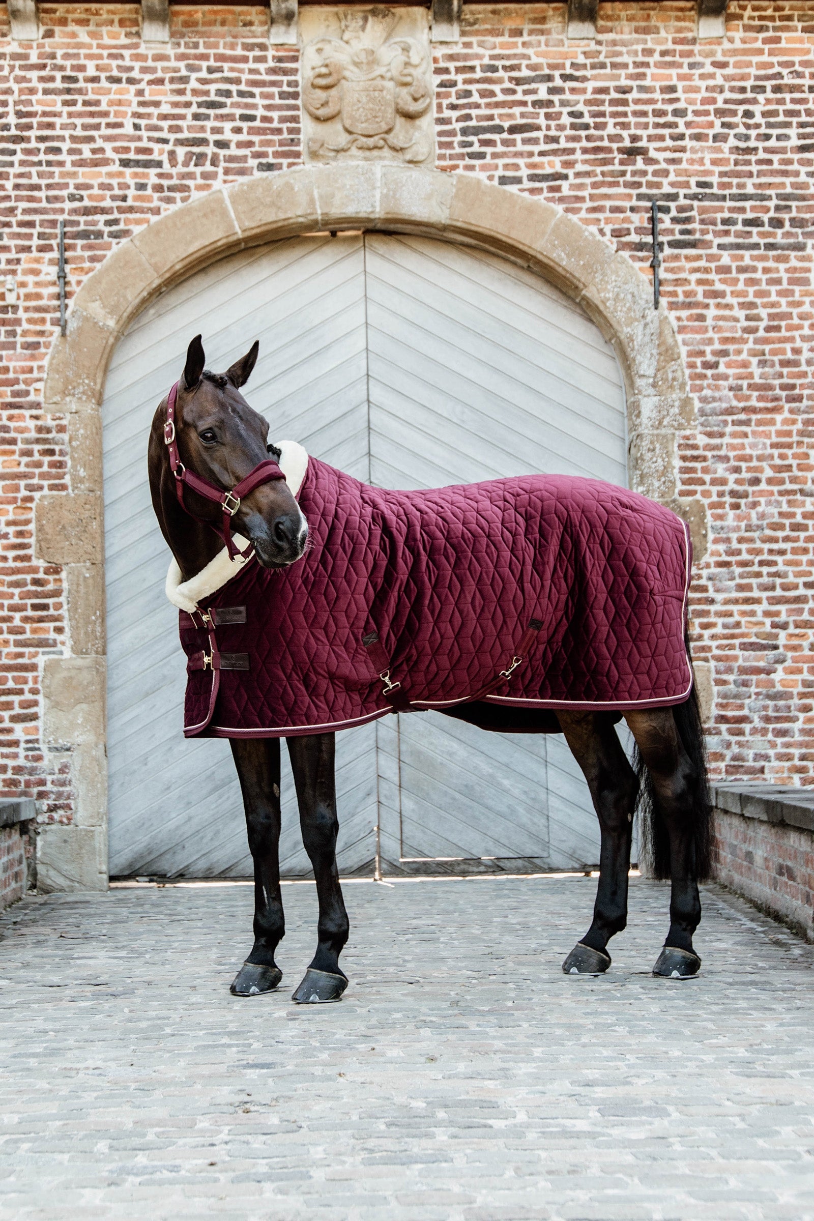 Kentucky Horsewear Showdeken Velvet, 160g Paardendekens