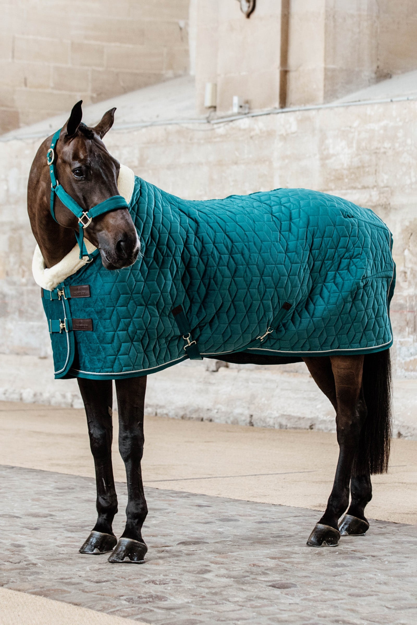 Kentucky Horsewear Showdeken Velvet, 160g Paardendekens