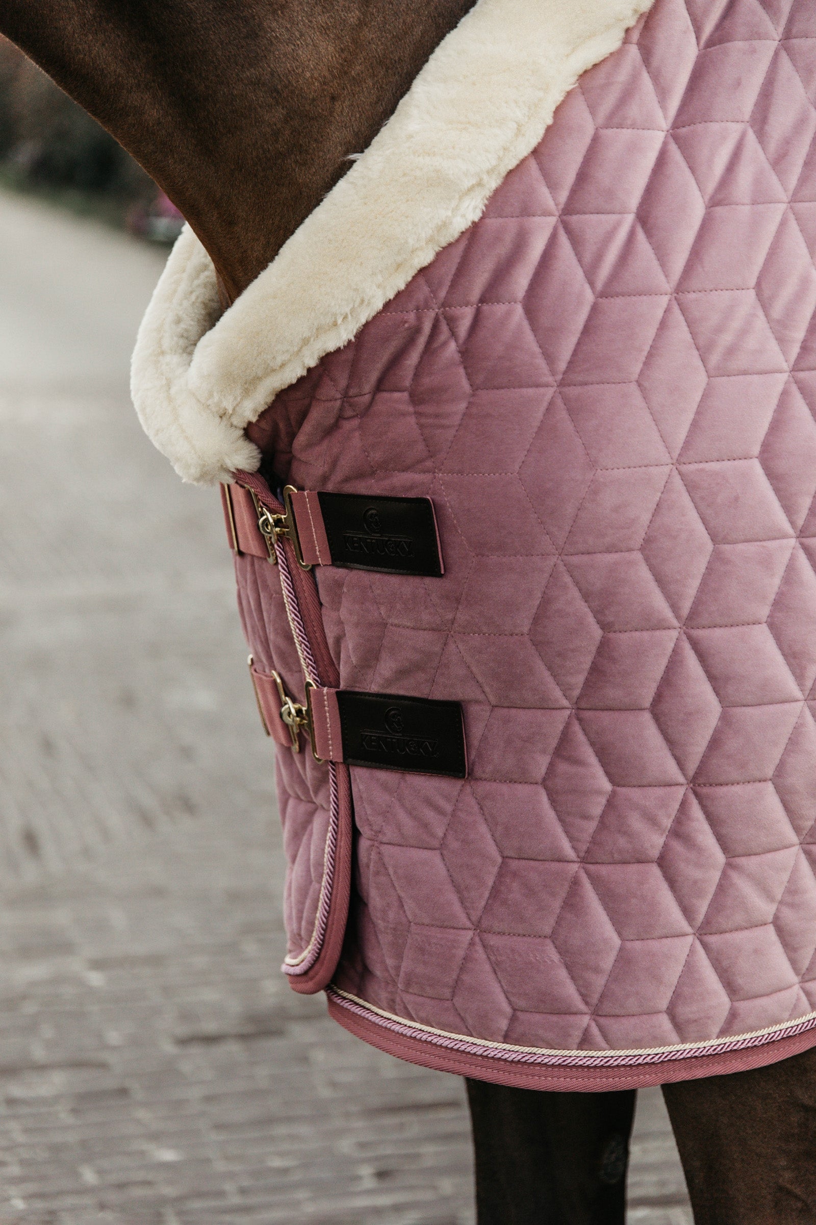 Kentucky Horsewear Velvet Show Rug, 160g Horse Rugs