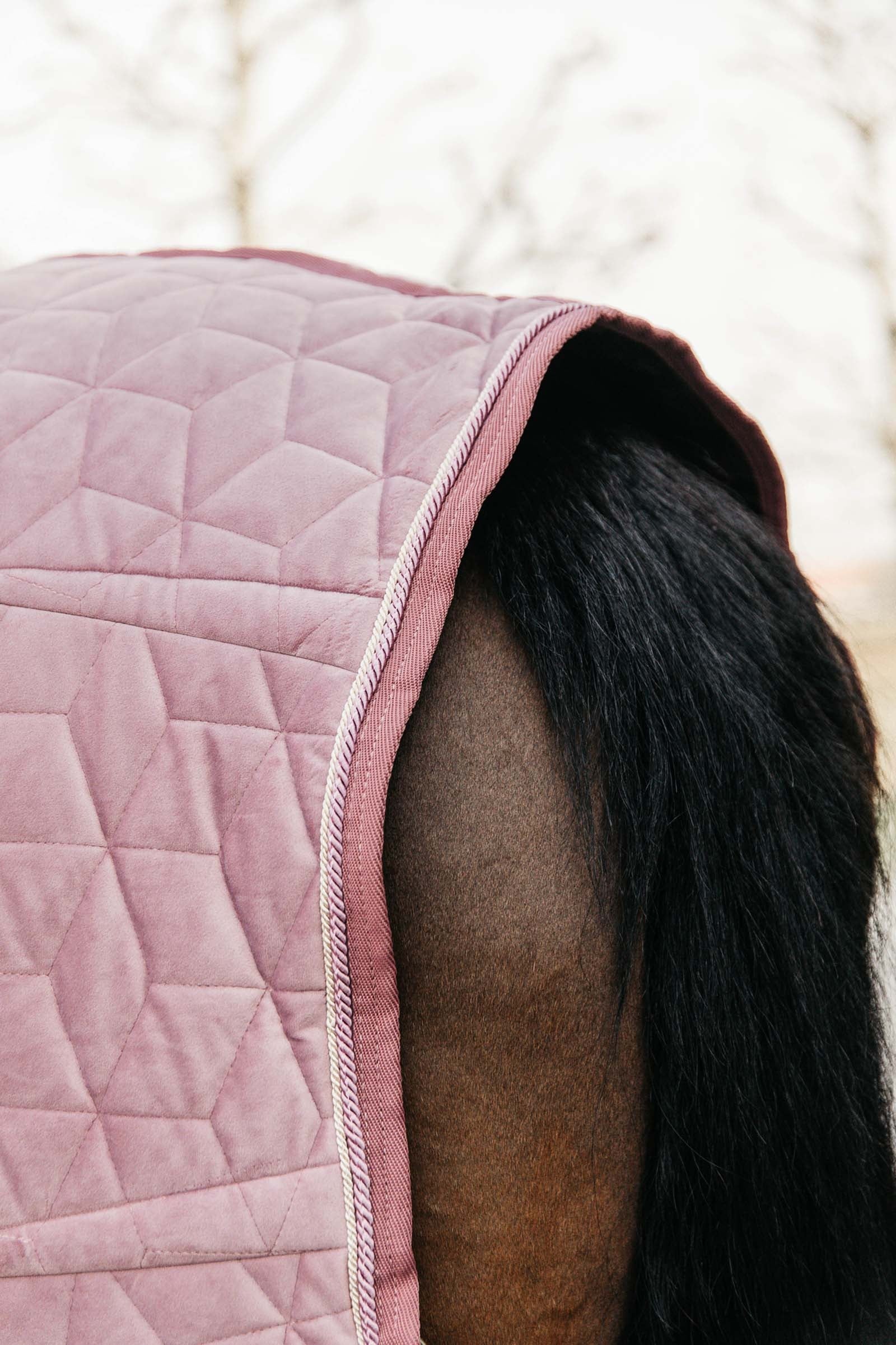 Kentucky Horsewear Velvet Show Rug, 160g Horse Rugs