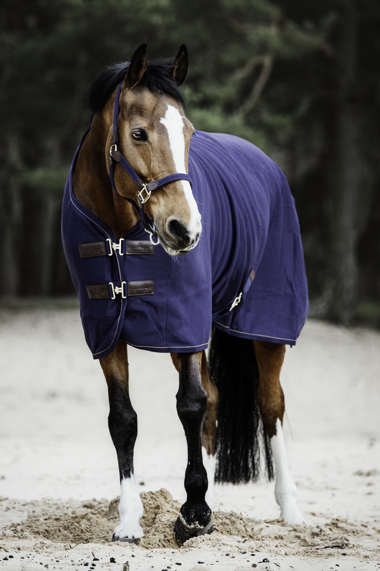 Kentucky Horsewear Tiny Cooler Fleece Rug Paardendekens