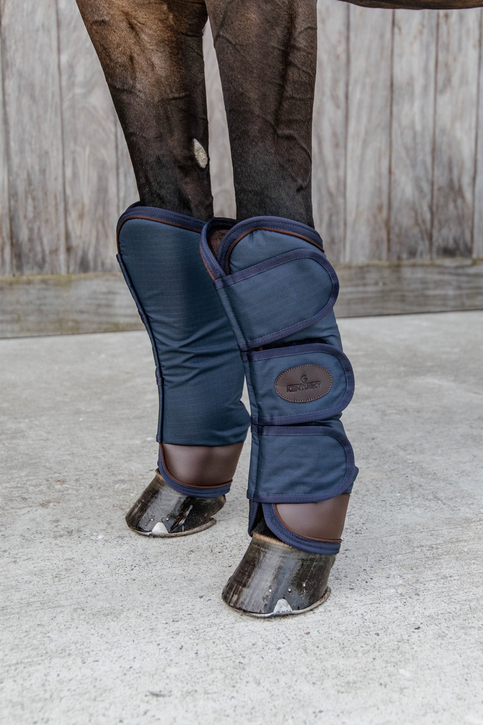 Kentucky Horsewear Transportbeschermers Leg Protection & Hoof Protection for Horses
