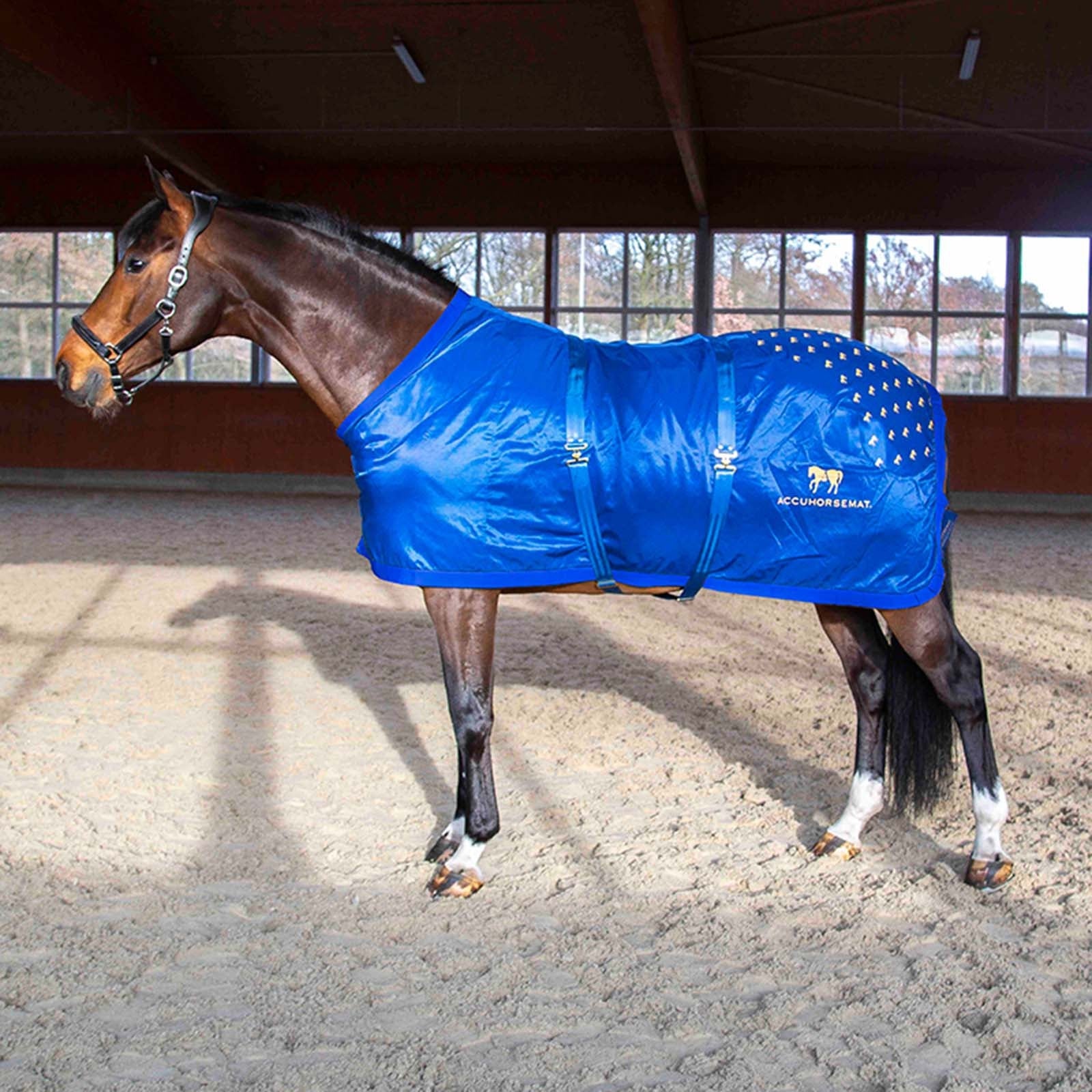 Accuhorsemat Original Paardendekens