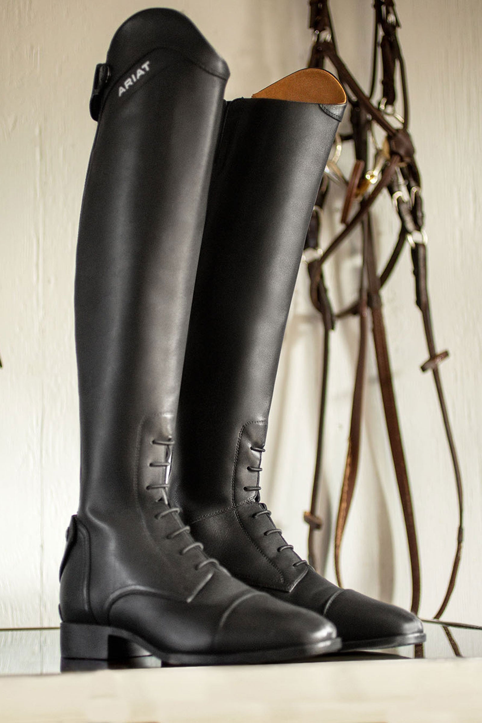 Ariat Palisade Women's Tall Riding Boots Riding Boots & Riding Shoes