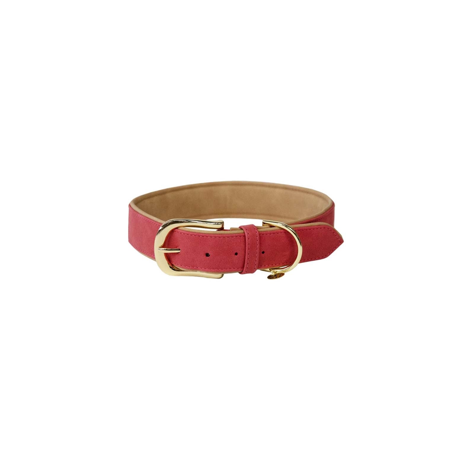 Kentucky Horsewear Kentucky Dogwear Hondenhalsband vegan leer Hond