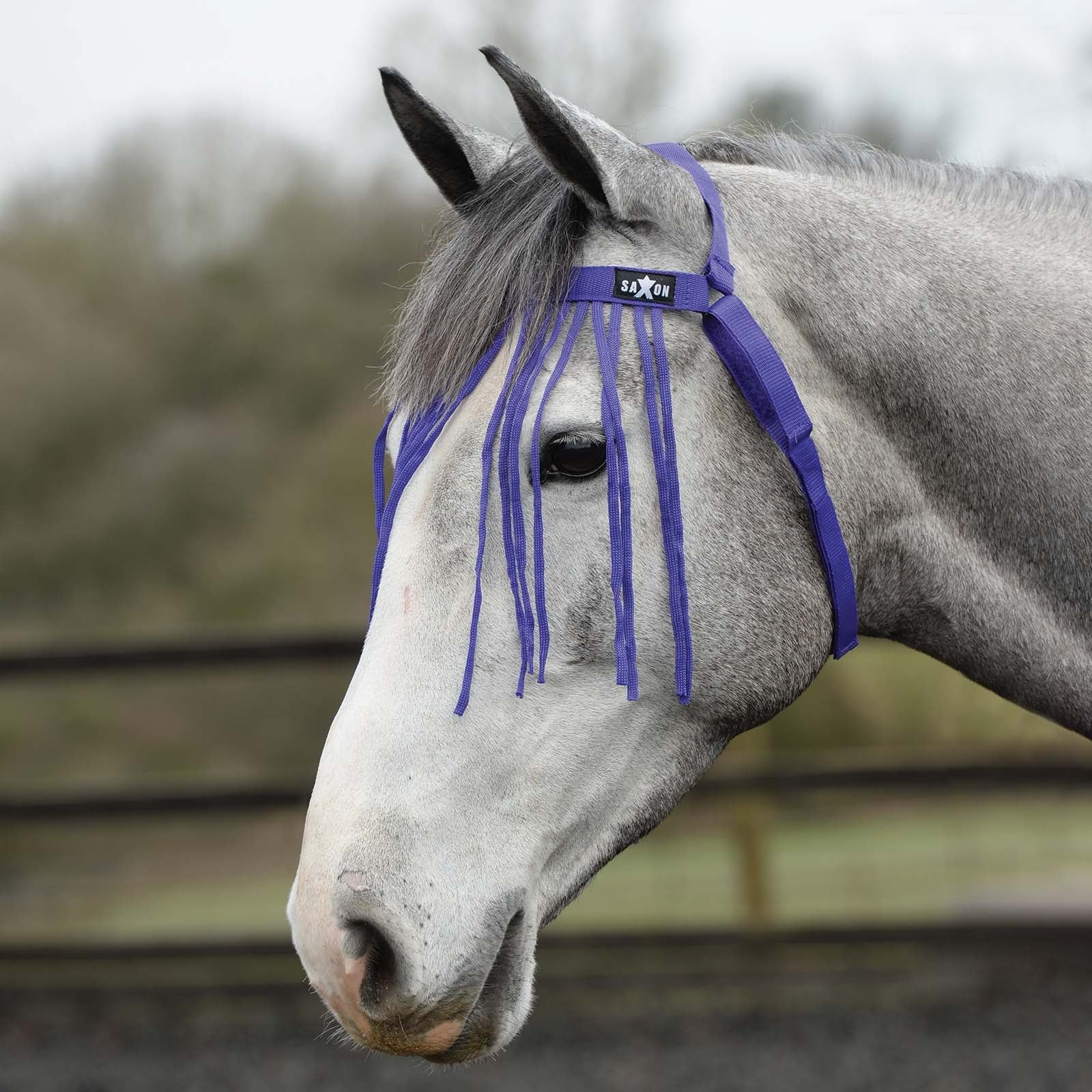 Saxon Fly Fringes Antifly Protection for Horses
