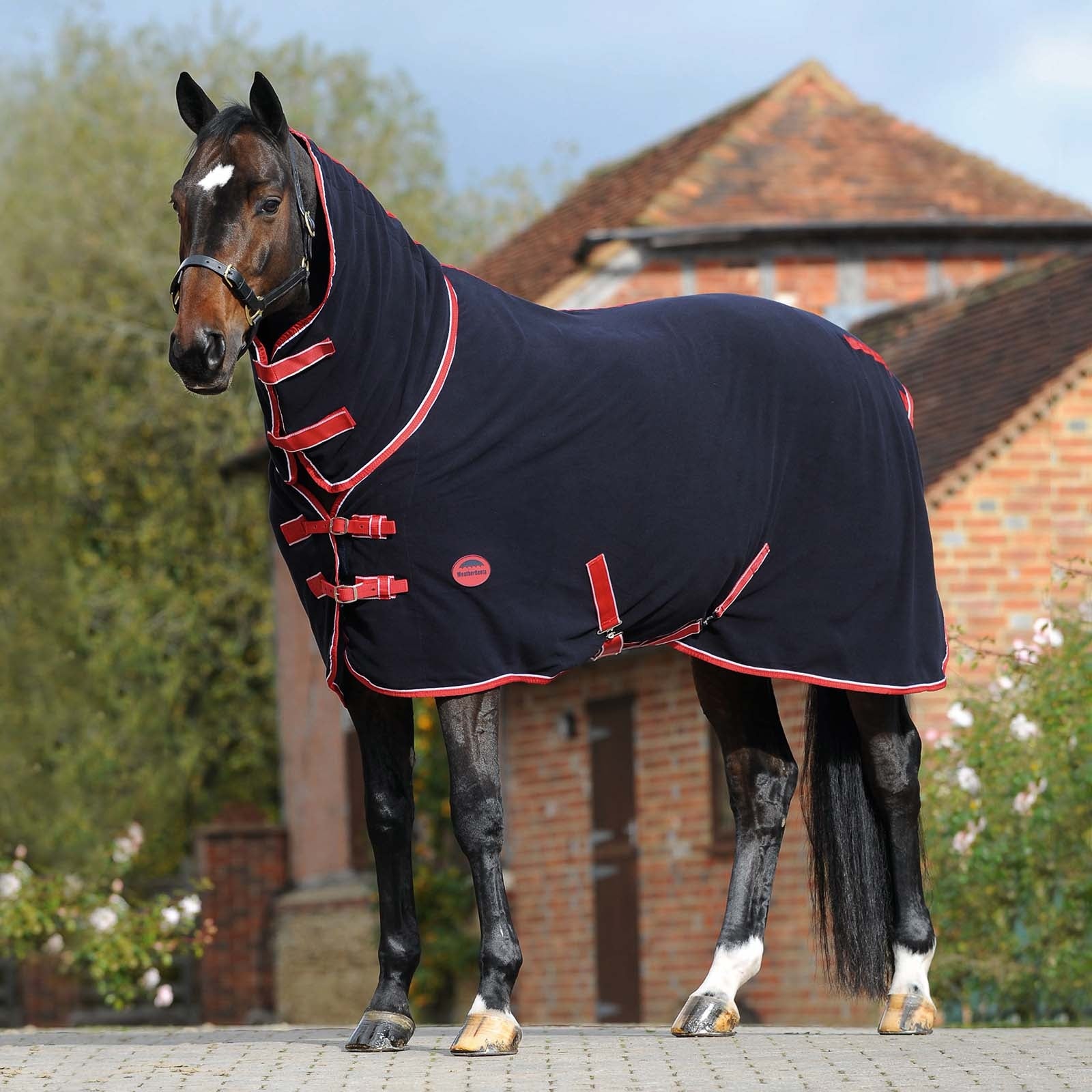 Weatherbeeta Fleece Cooler Combo with Fixed Neck Paardendekens