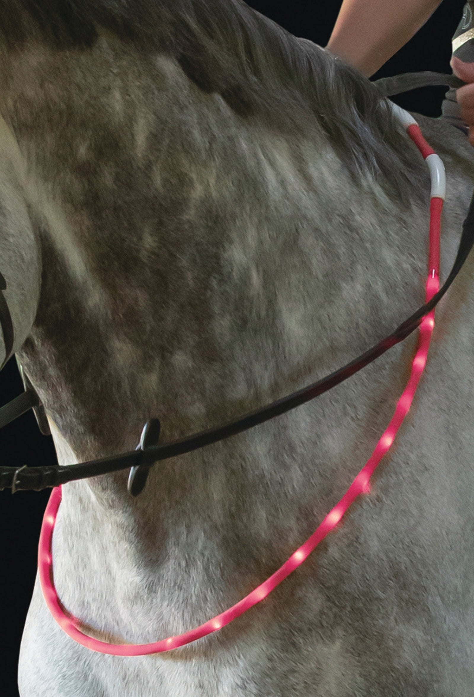 USG LED Horse Collar Reflective