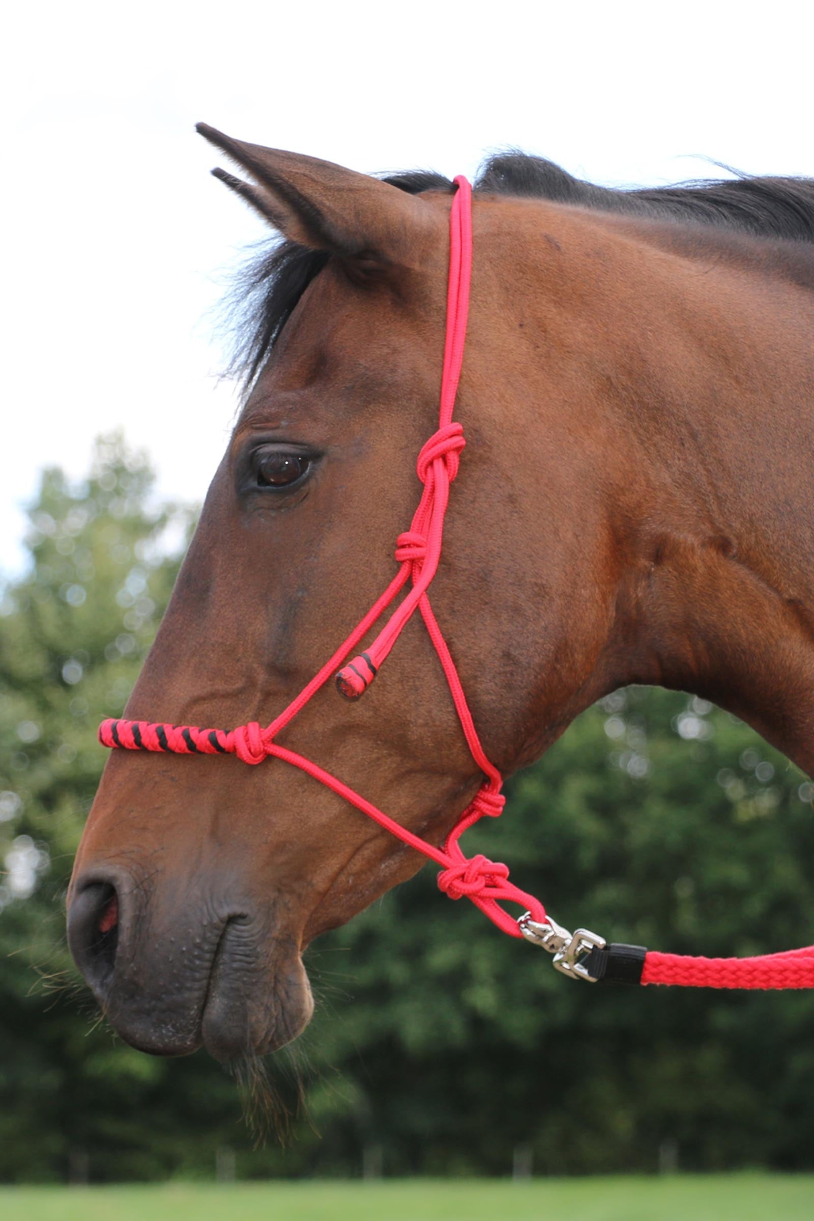 F.R.A. Freedom Riding Articles Gabi Flat Woven Cotton Reins Bridles & Reins
