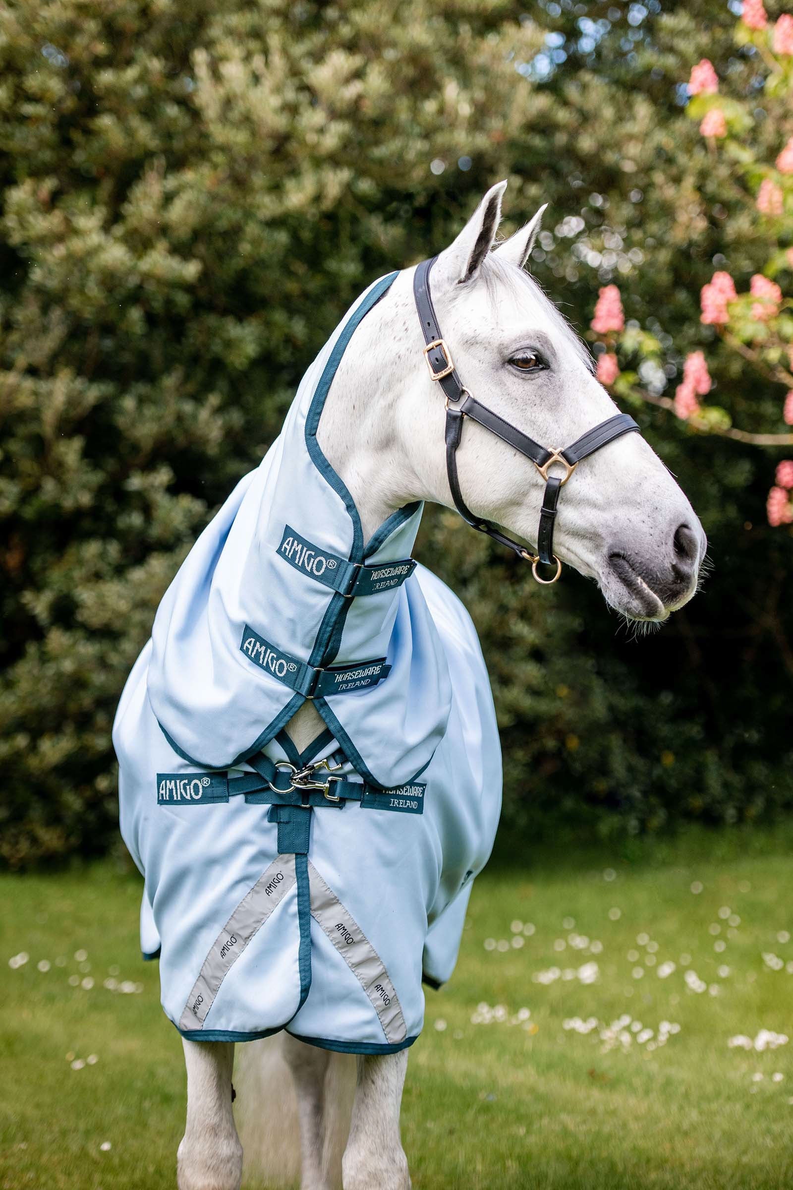 Horseware Amigo Plant Dye Turnout Rug, 50g Horse Rugs