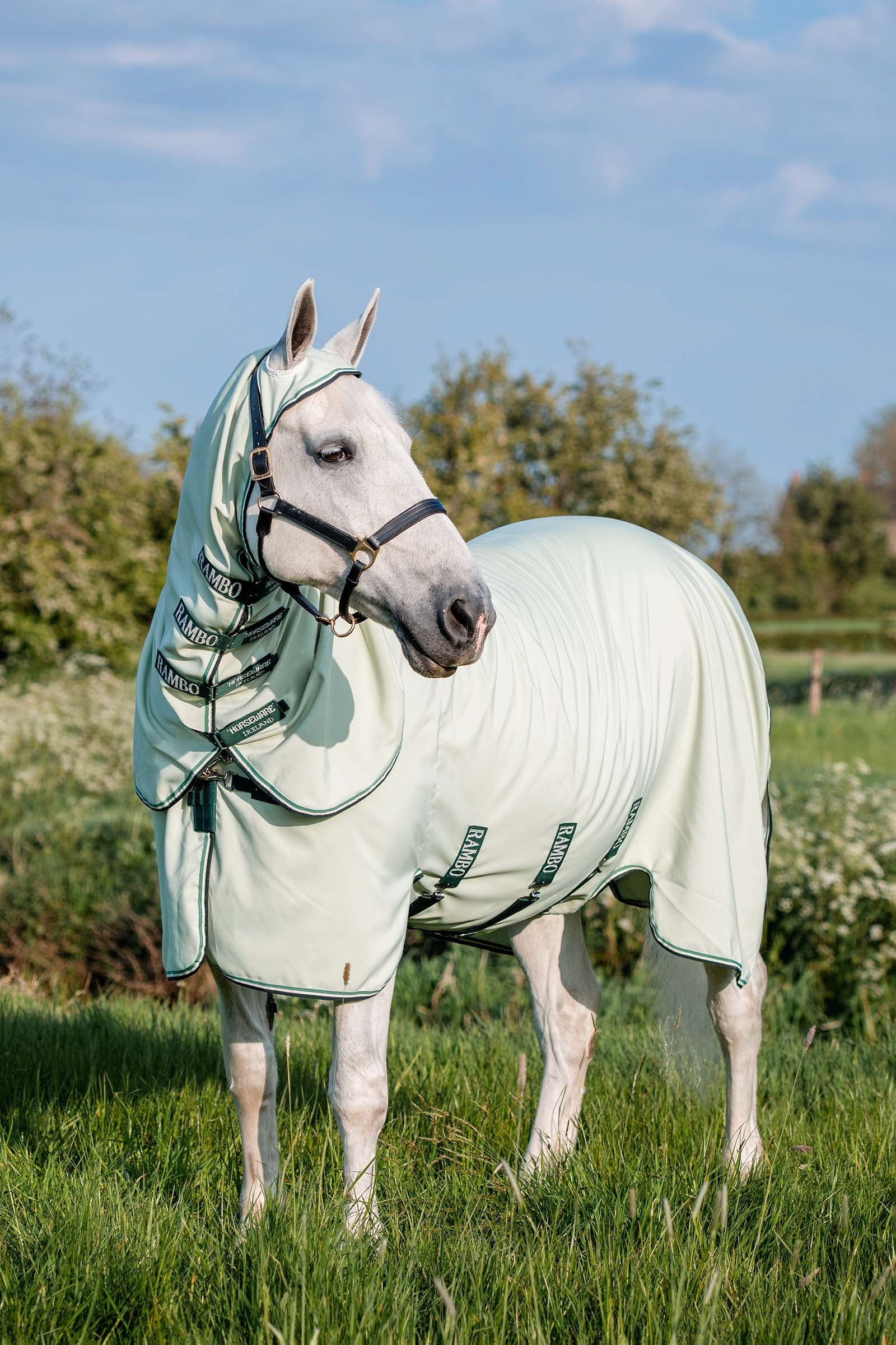 Horseware Rambo eczeemdeken XL Paardendekens