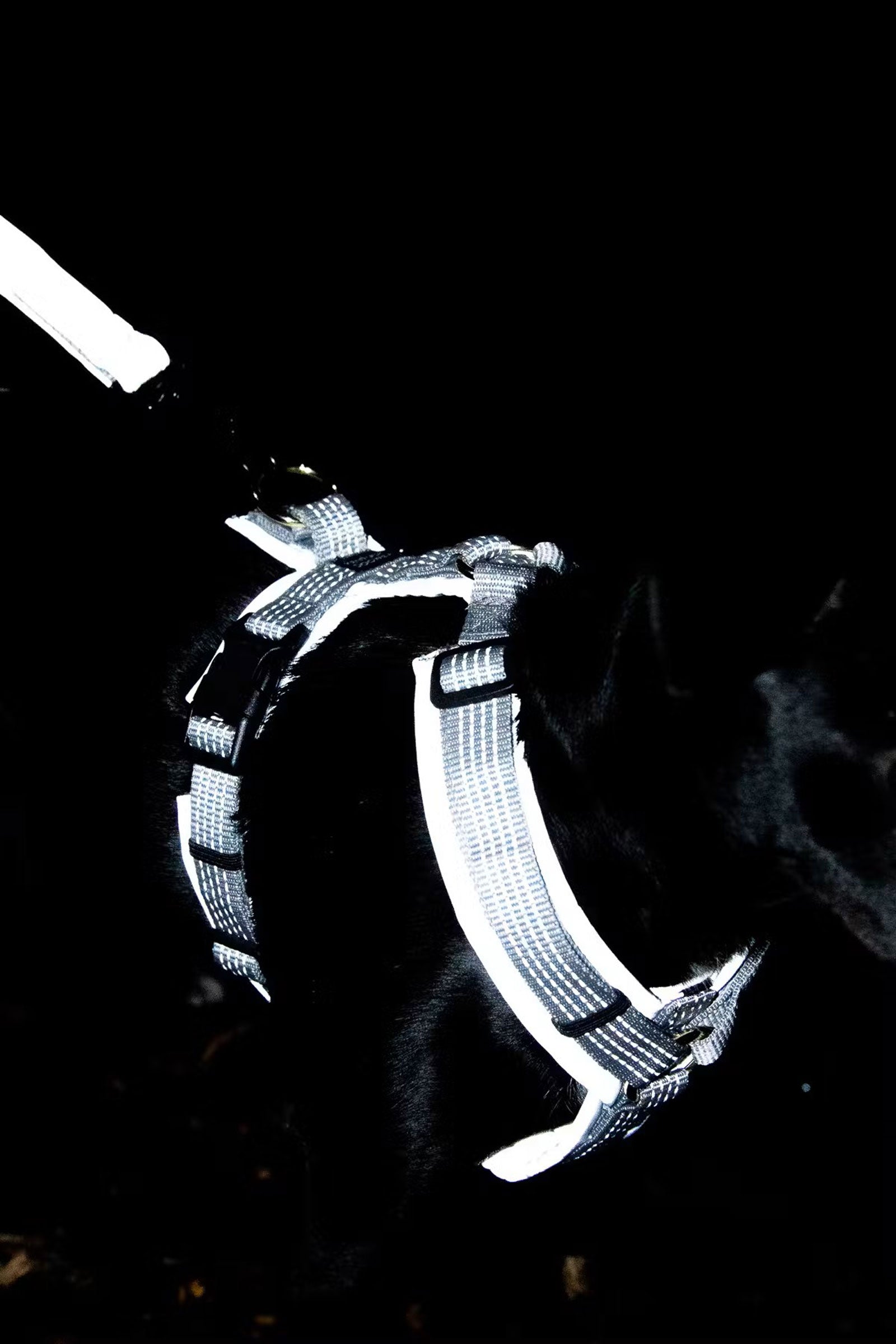 Kentucky Dogwear Active Reflective Dog Harness Dog Accesories