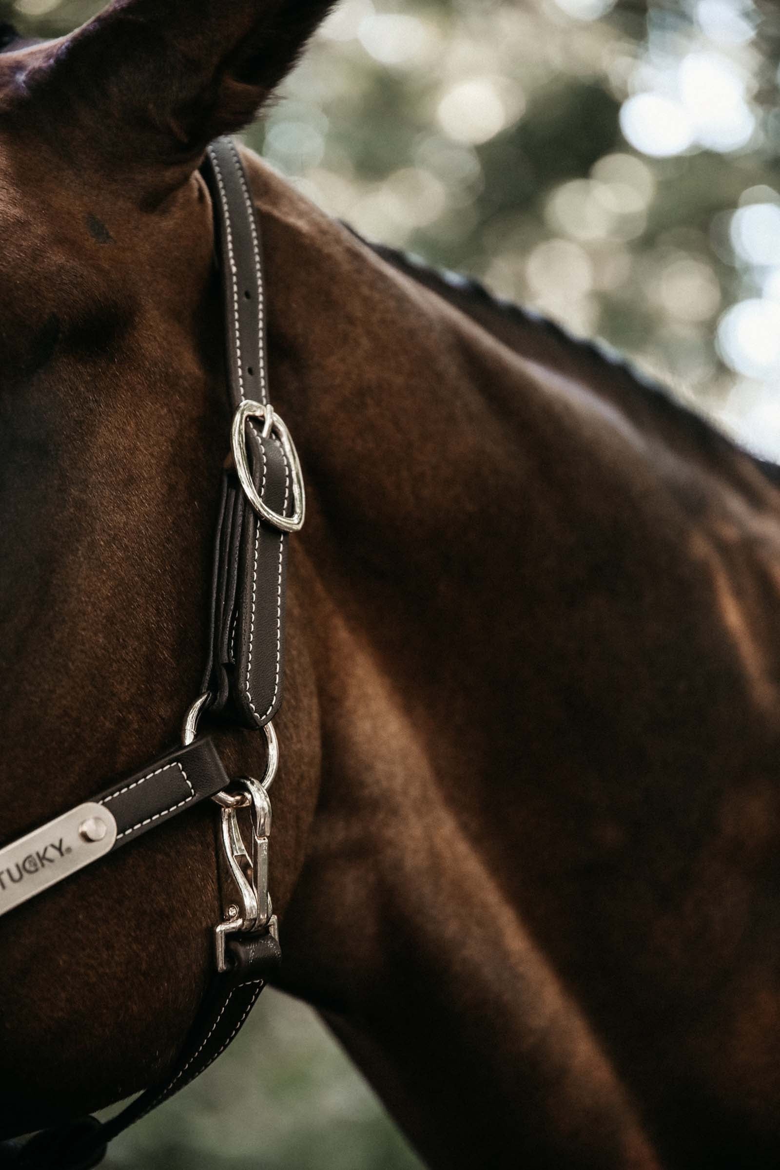 Kentucky Horsewear Flexible Leather Halter Neck Piece Halters & Leads