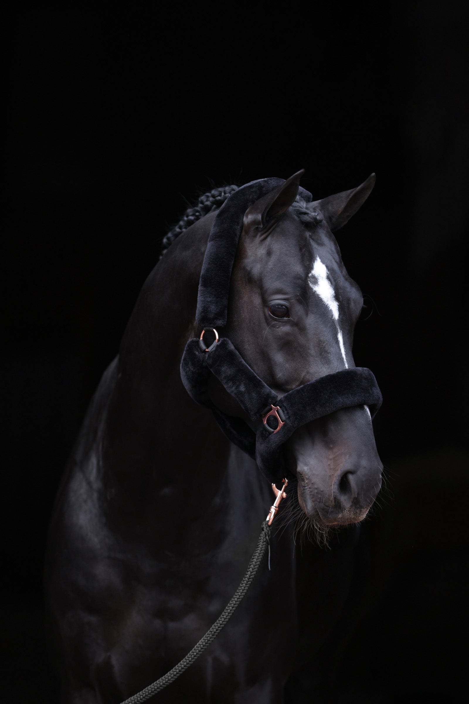 Covalliero SuperSoft Halter Halters & Leads