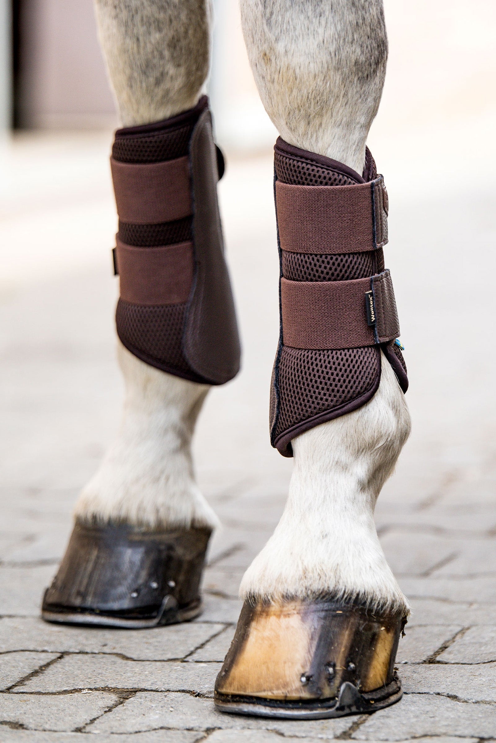 Back on Track Airflow Brushing Boots Leg Protection & Hoof Protection for Horses
