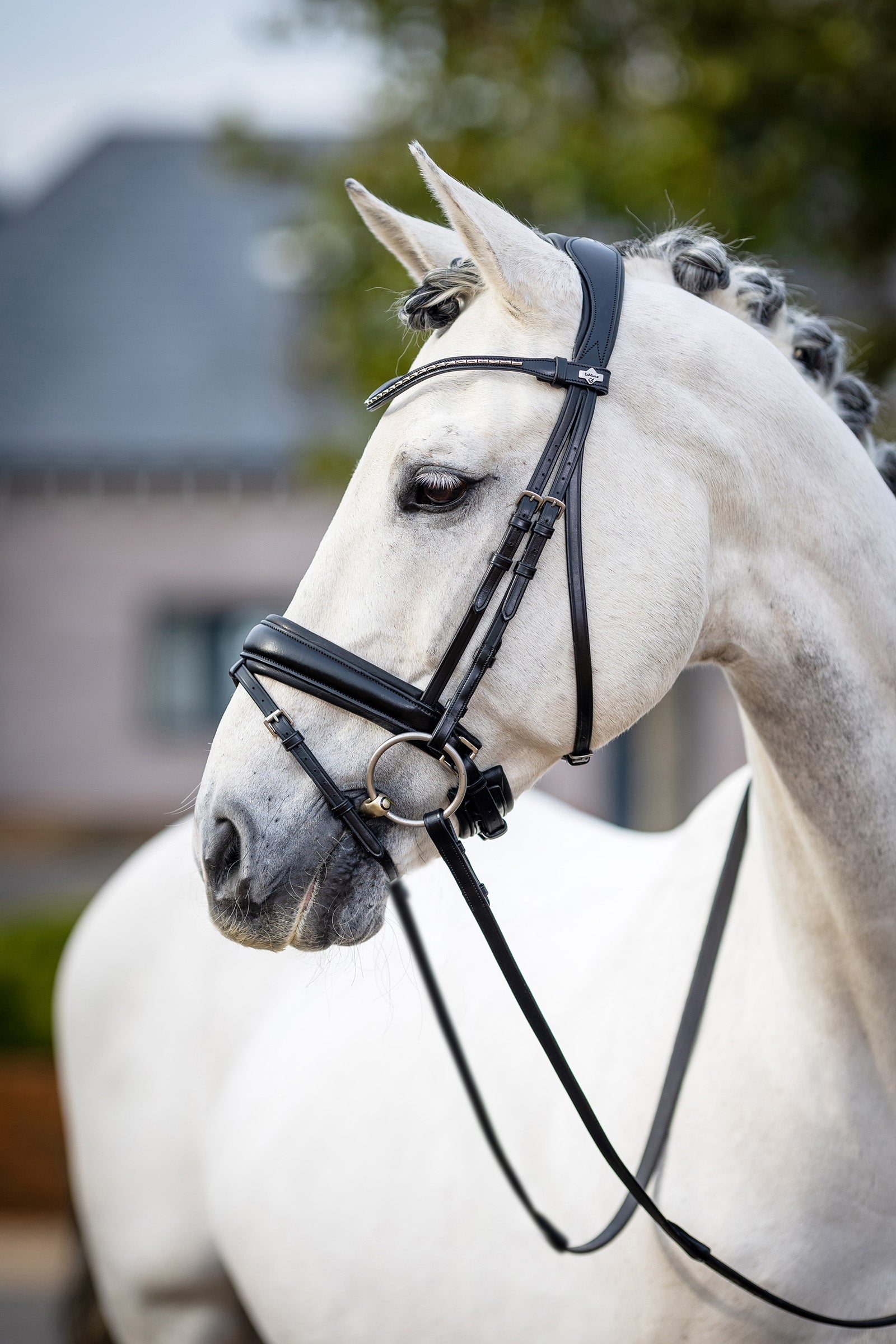 LeMieux Kudos Classic hoofdstel, dressuur Hoofdstellen & Teugels