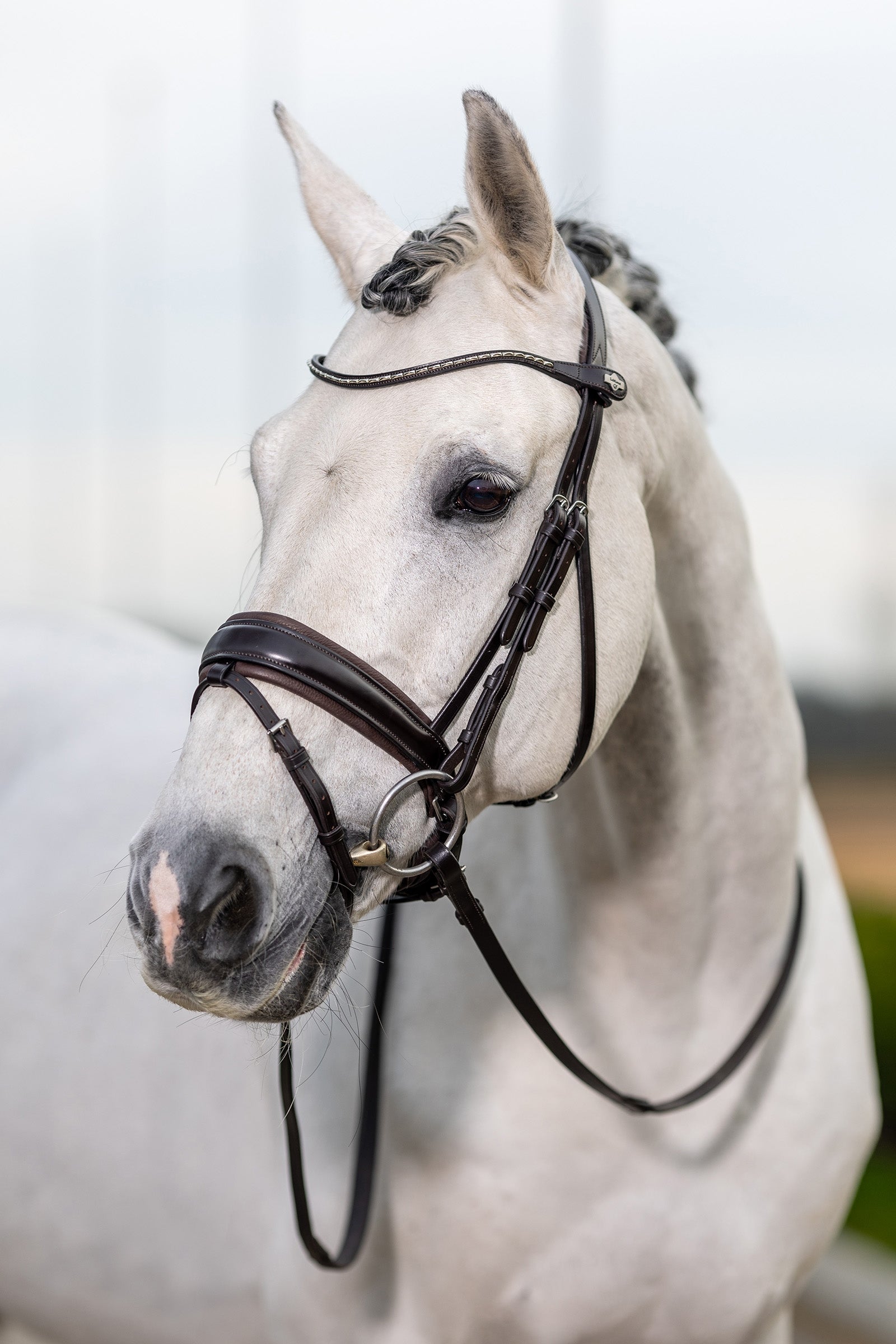 LeMieux Kudos Classic hoofdstel, dressuur Hoofdstellen & Teugels
