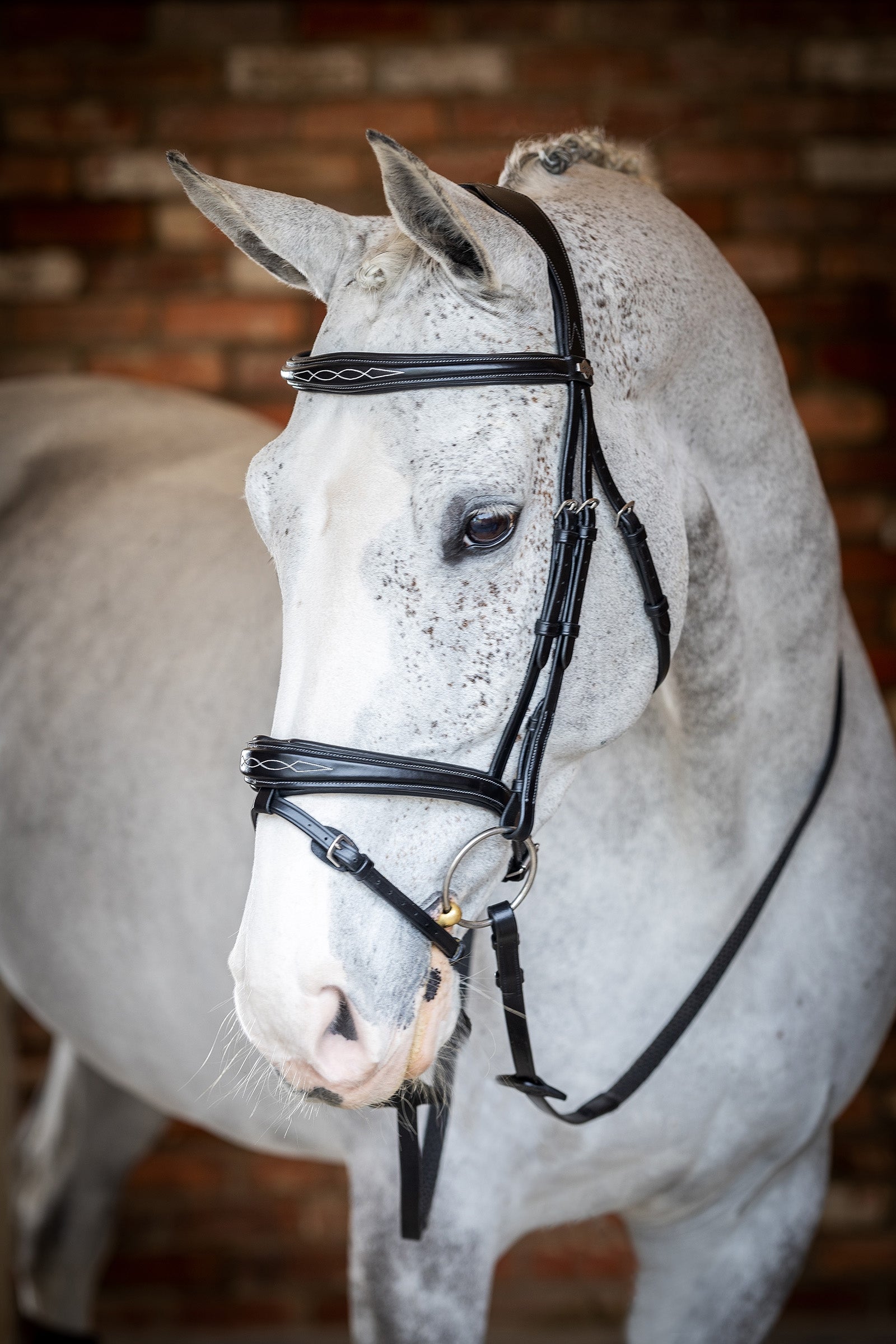 LeMieux Competiton Flash Bridle Bridles & Reins