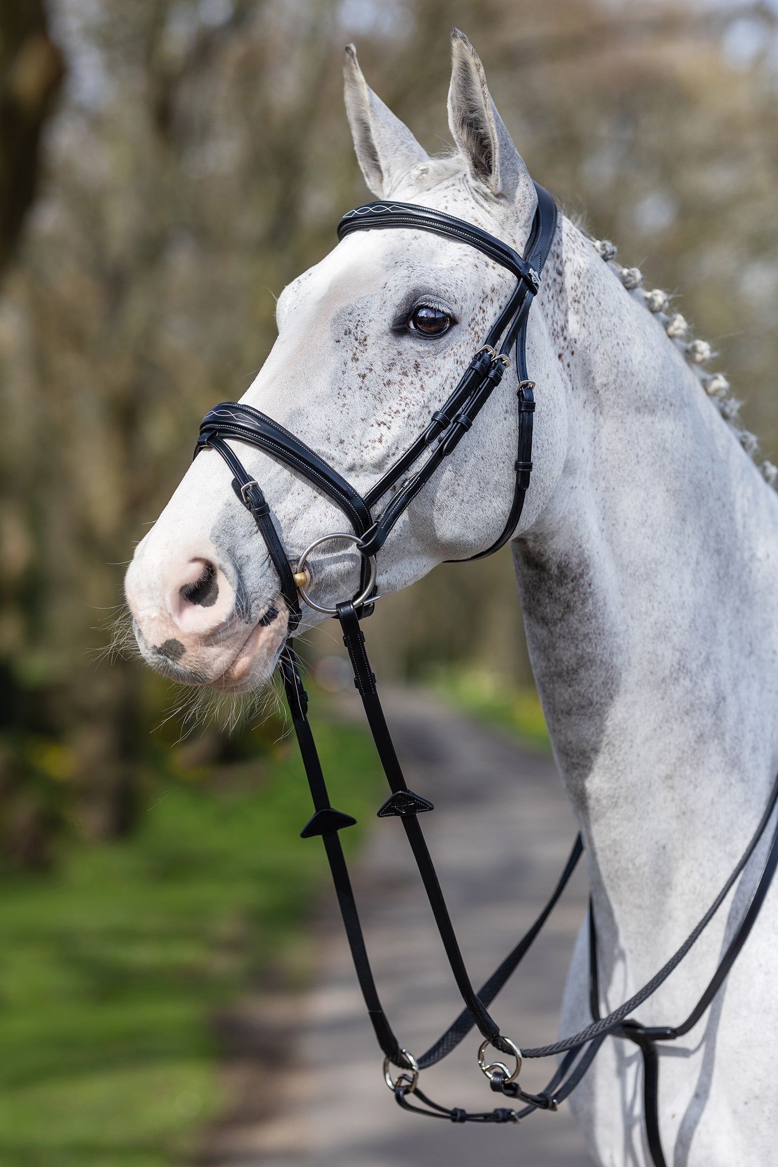 LeMieux Competiton Flash Bridle Bridles & Reins