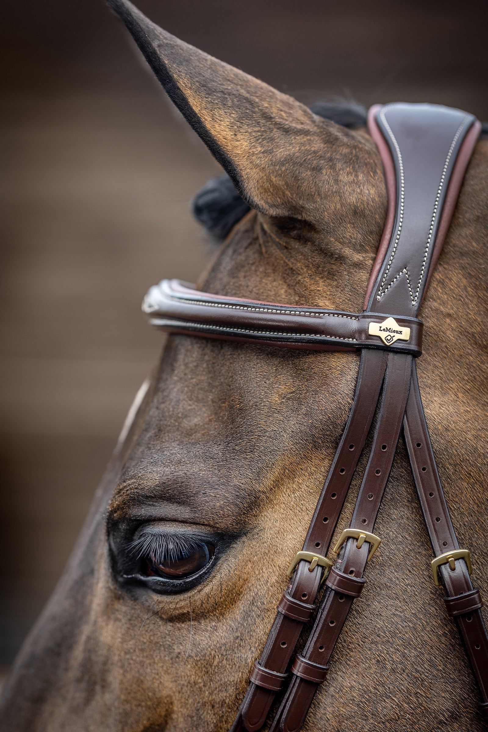 LeMieux Competiton Flash Bridle Bridles & Reins