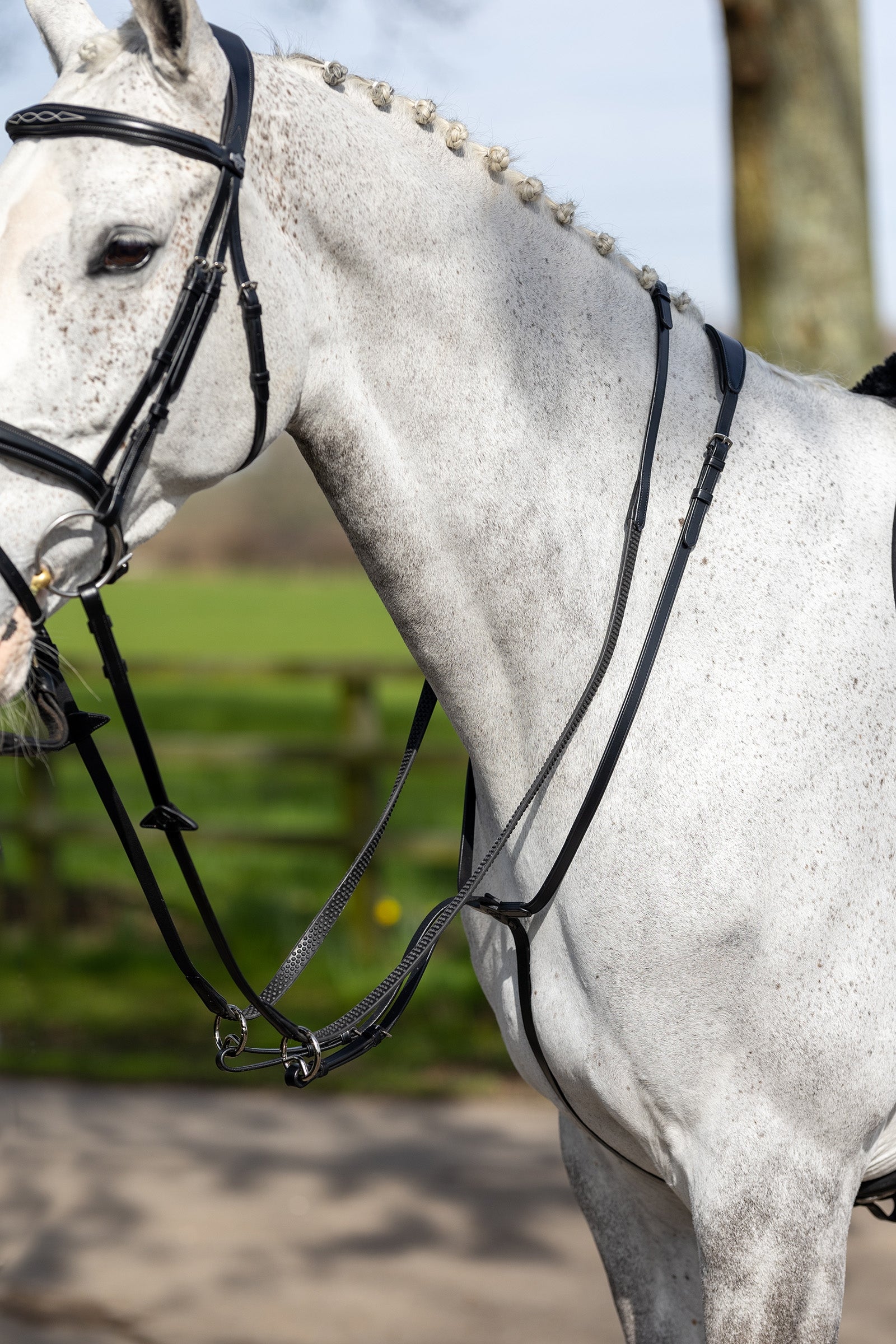 LeMieux Running Martingale Bridles & Reins