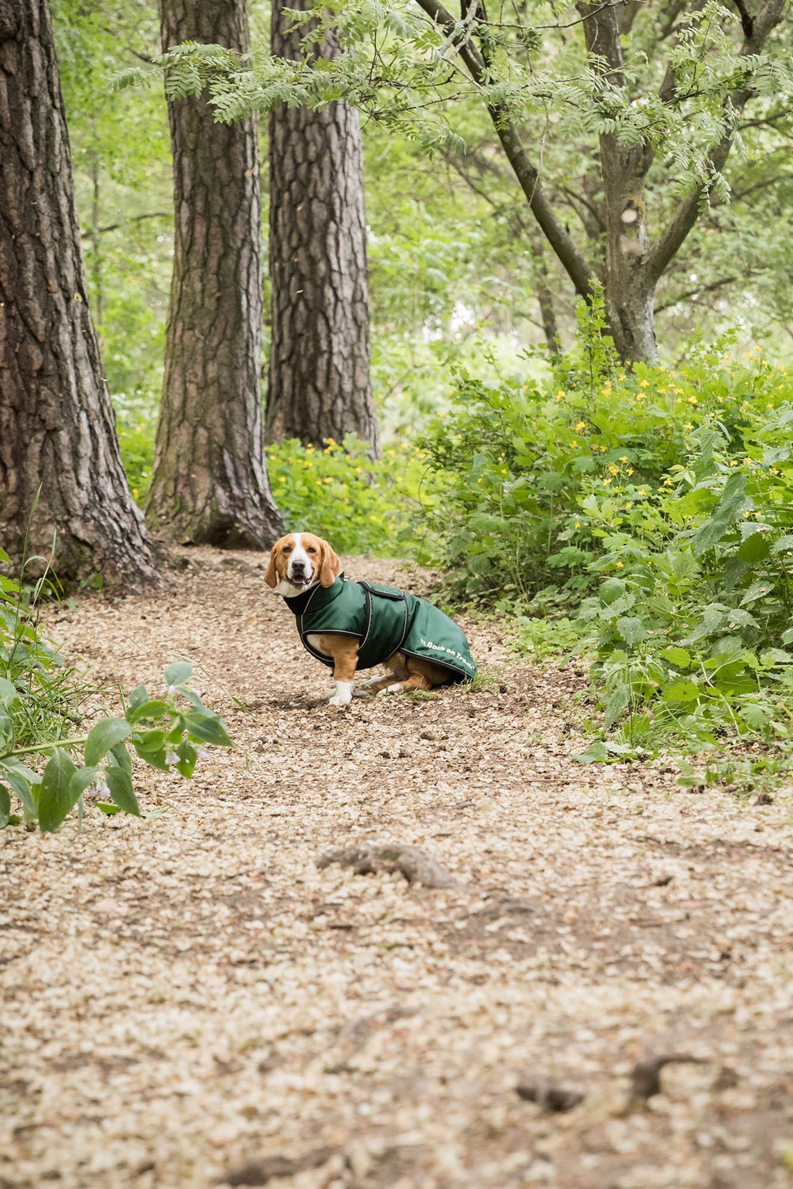 Back on Track Buddy Long Dog Coat (28-44cm) Dog Accesories