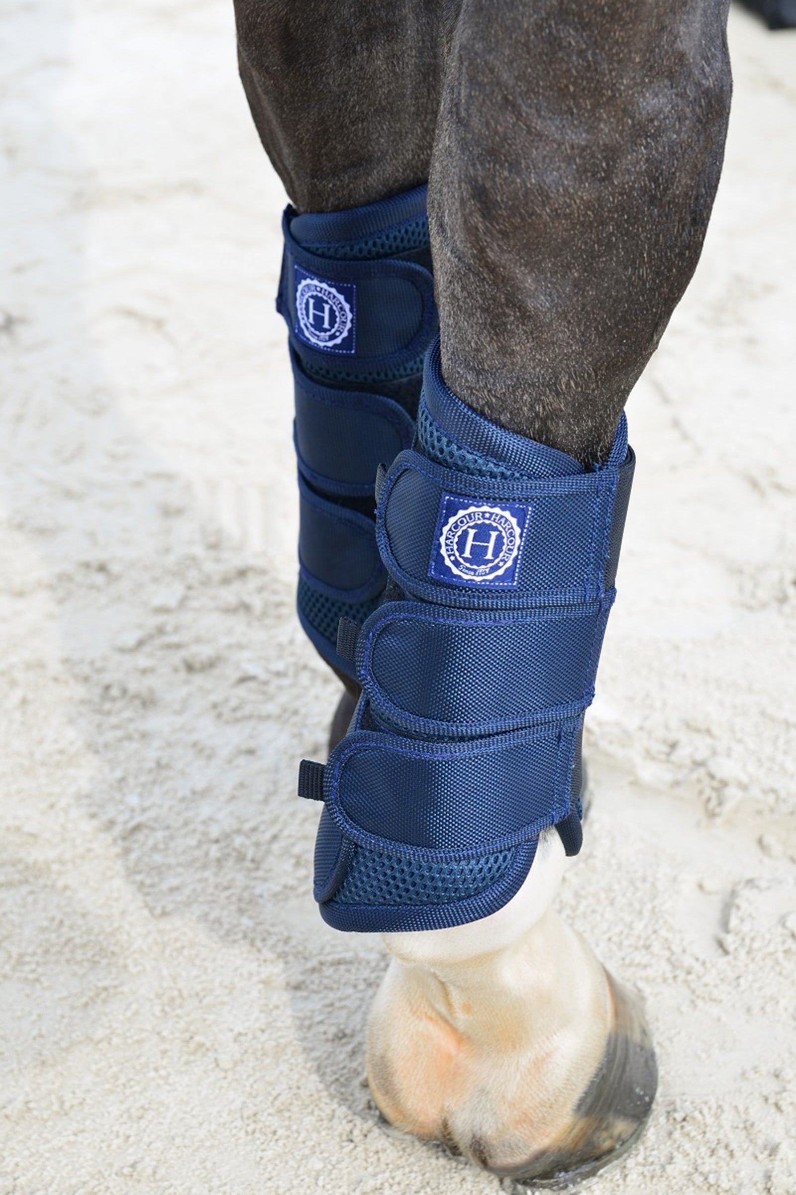 Harcour Cosmic Mesh peesbeschermers Leg Protection & Hoof Protection for Horses