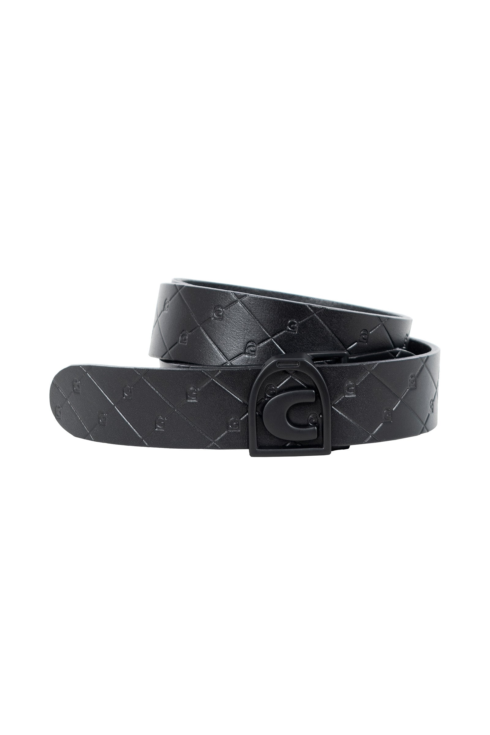 Cavallo CavalTale Riem Accessoires