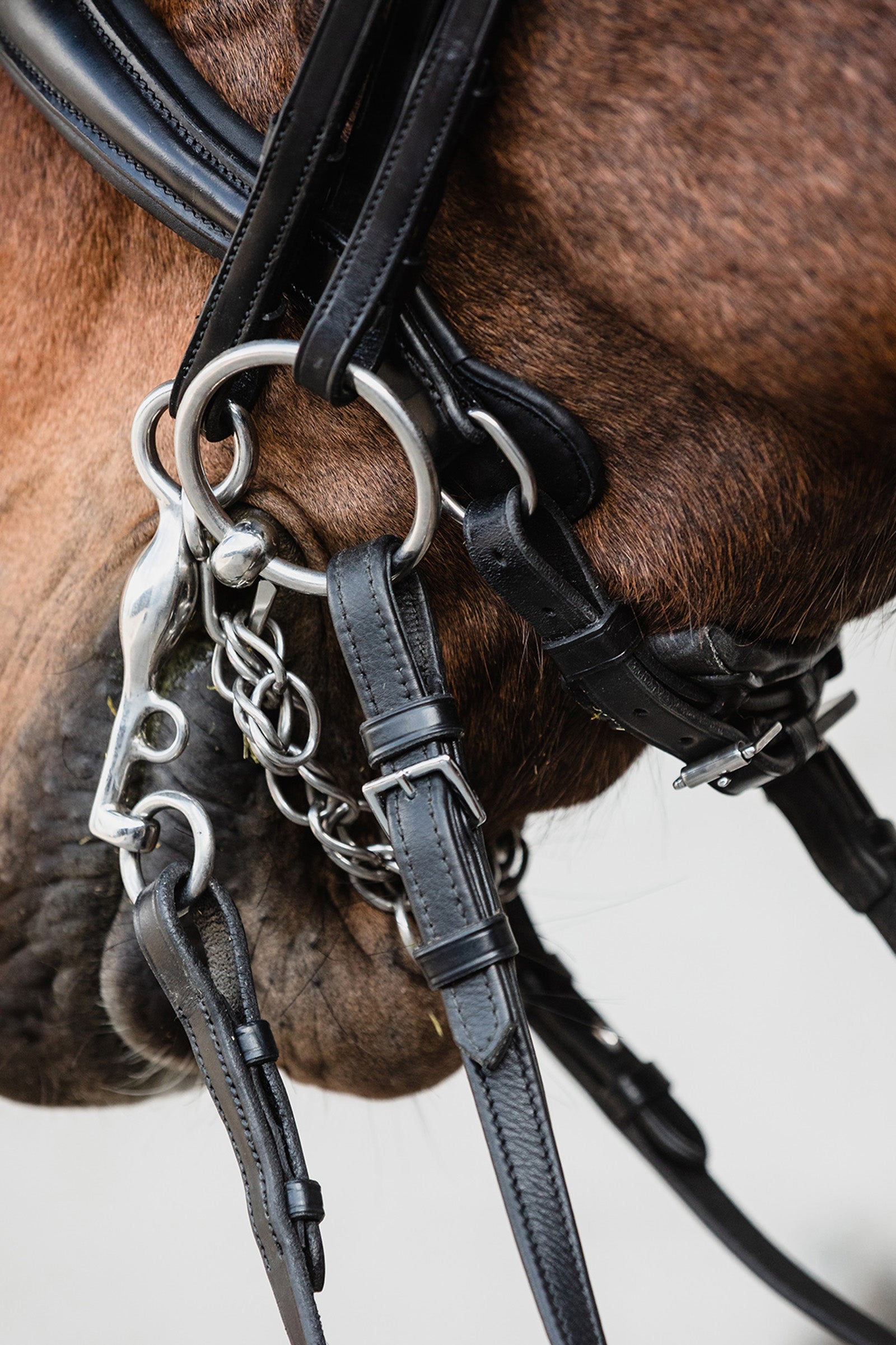 Schockemöhle Sports Milton Anatomic  Double Bridle Bridles & Reins