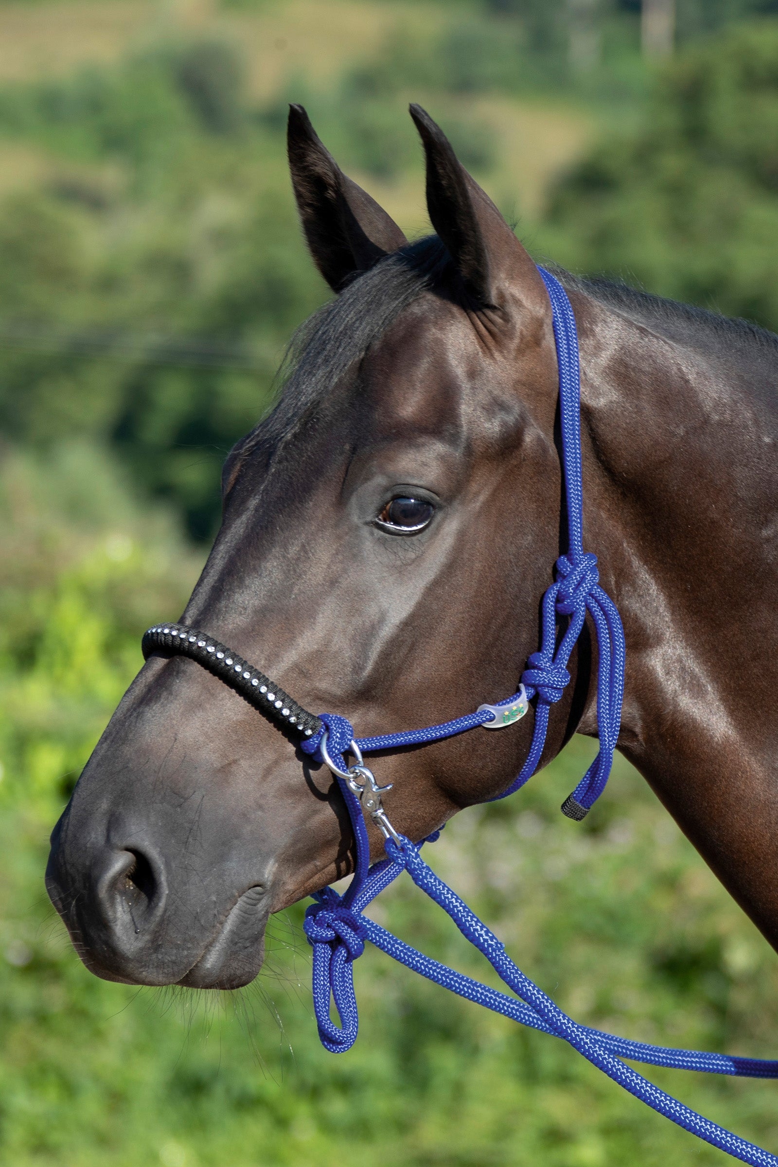 USG Knotted Rope Halter With Reins Halters & Leads