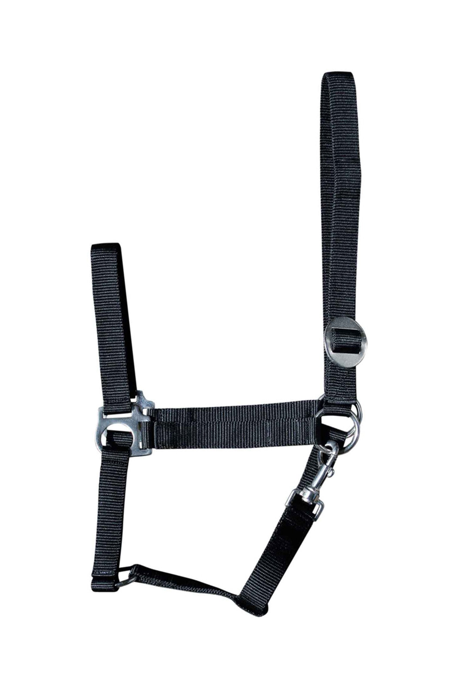 Harry's Horse Halster Economy Halsters & Halstertouwen