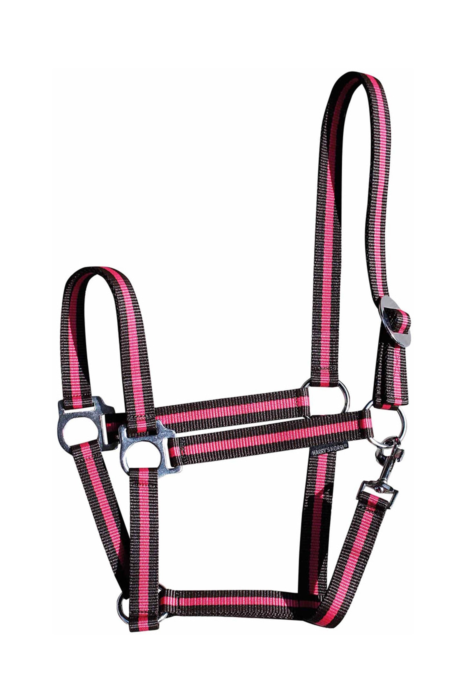 Harry's Horse Halster Economy Halsters & Halstertouwen