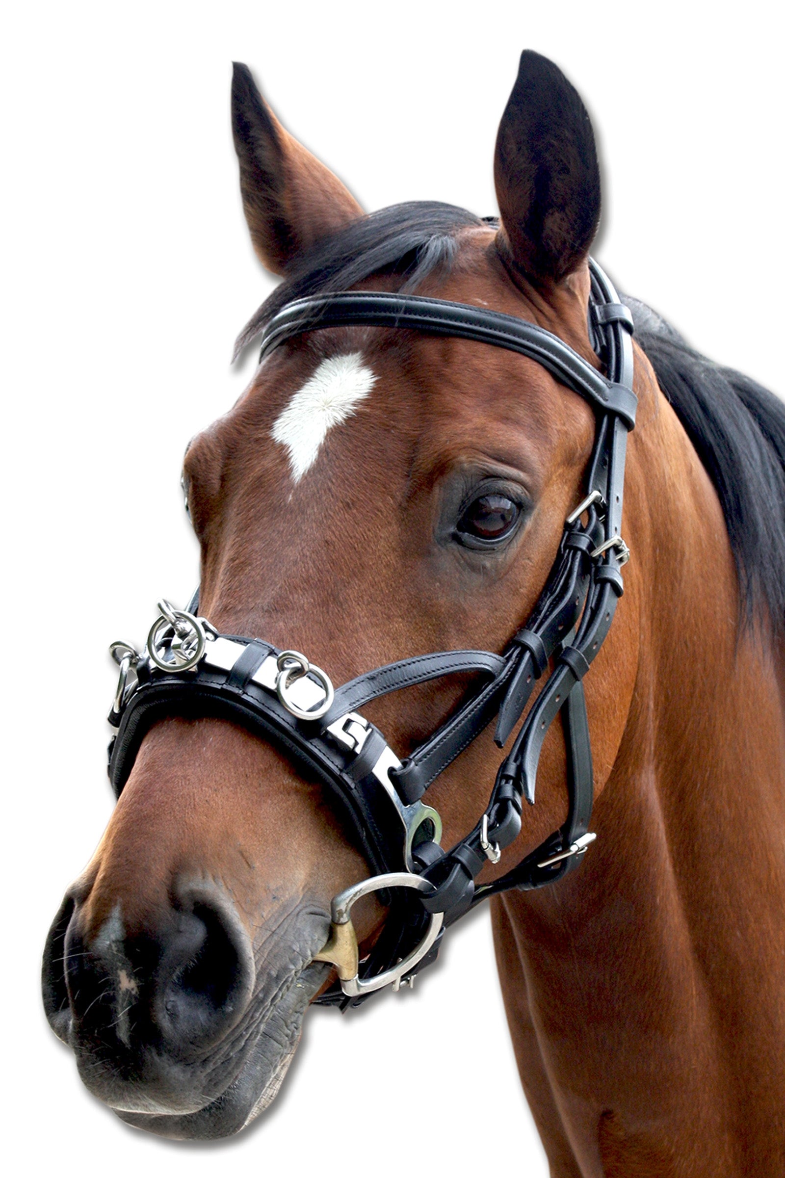 Waldhausen Leather Cavesson Longeren & Longeerhulp