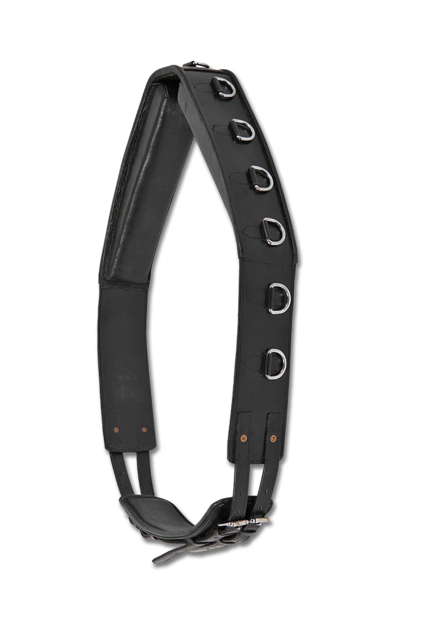 Waldhausen Lunging Surcingle, Leather Longeren & Longeerhulp