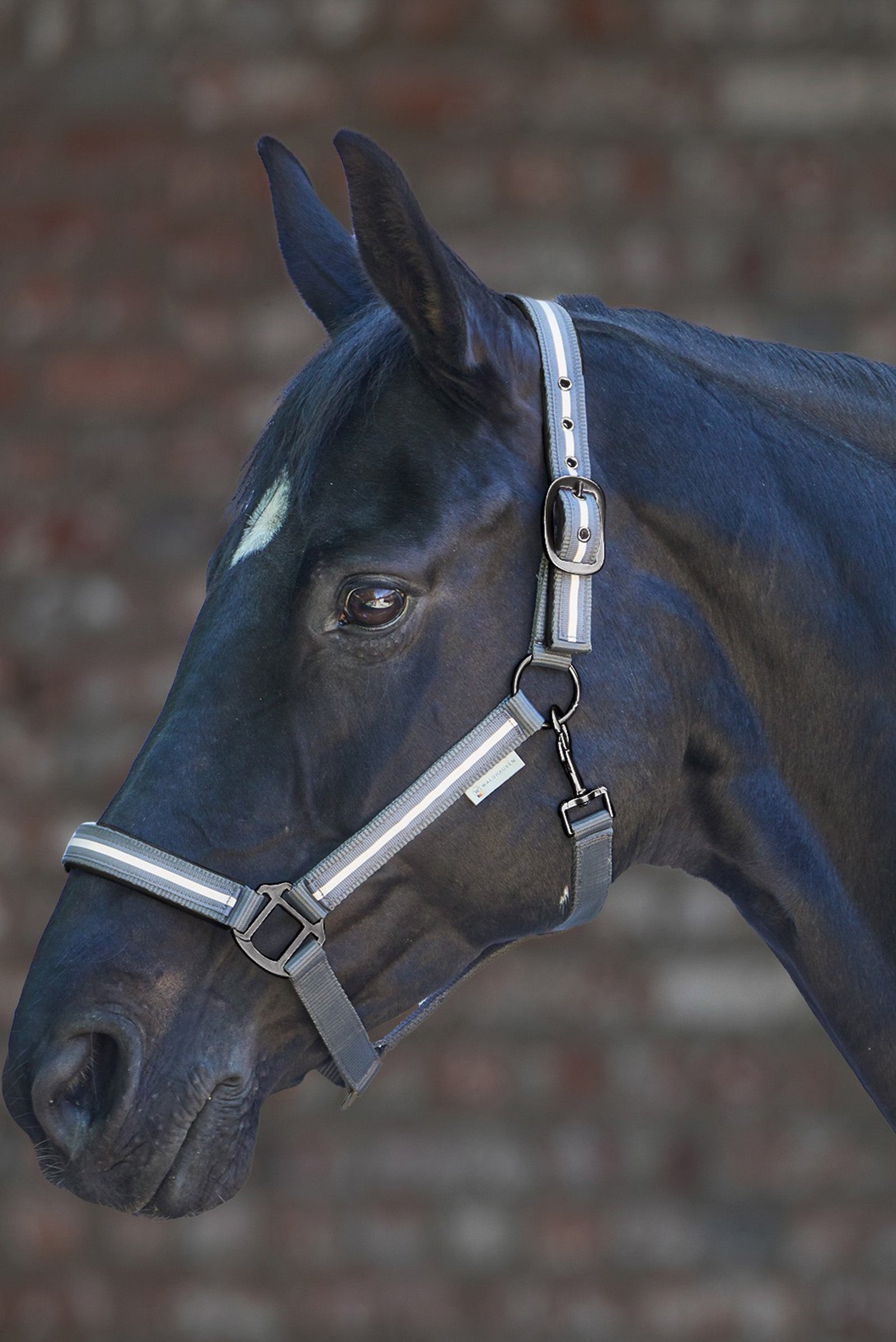 Waldhausen Reflex Stripe Halter Halsters & Halstertouwen