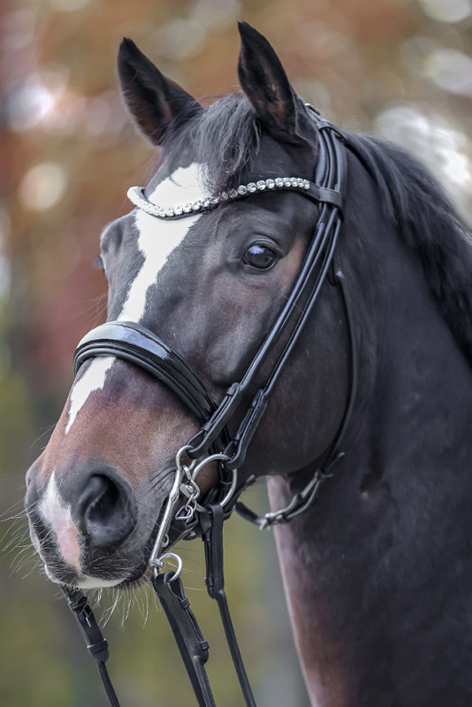 Kavalkade Fleur Double Bridle Hoofdstellen & Teugels