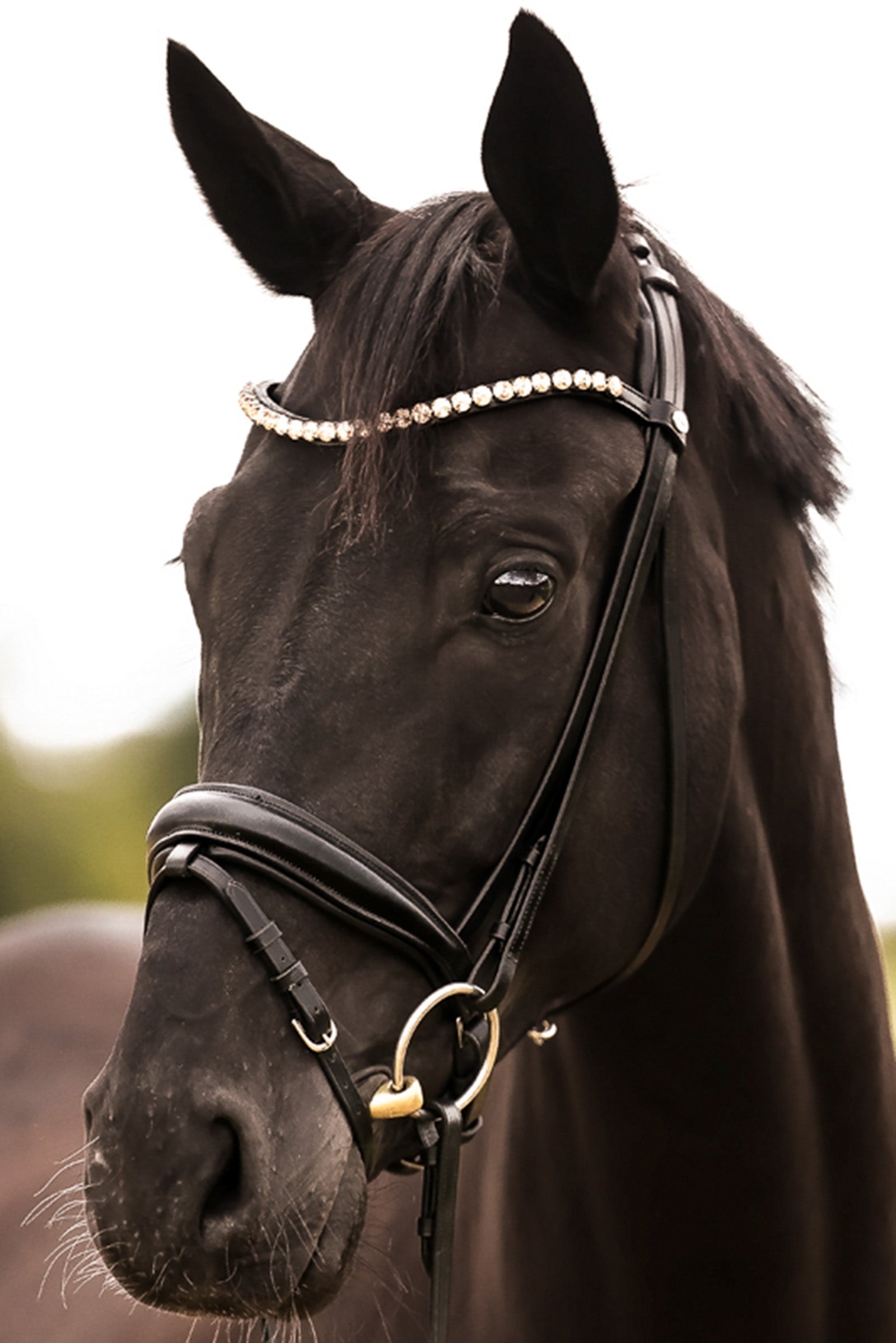 Kavalkade Fortuna KavalSH4 Bridle Hoofdstellen & Teugels