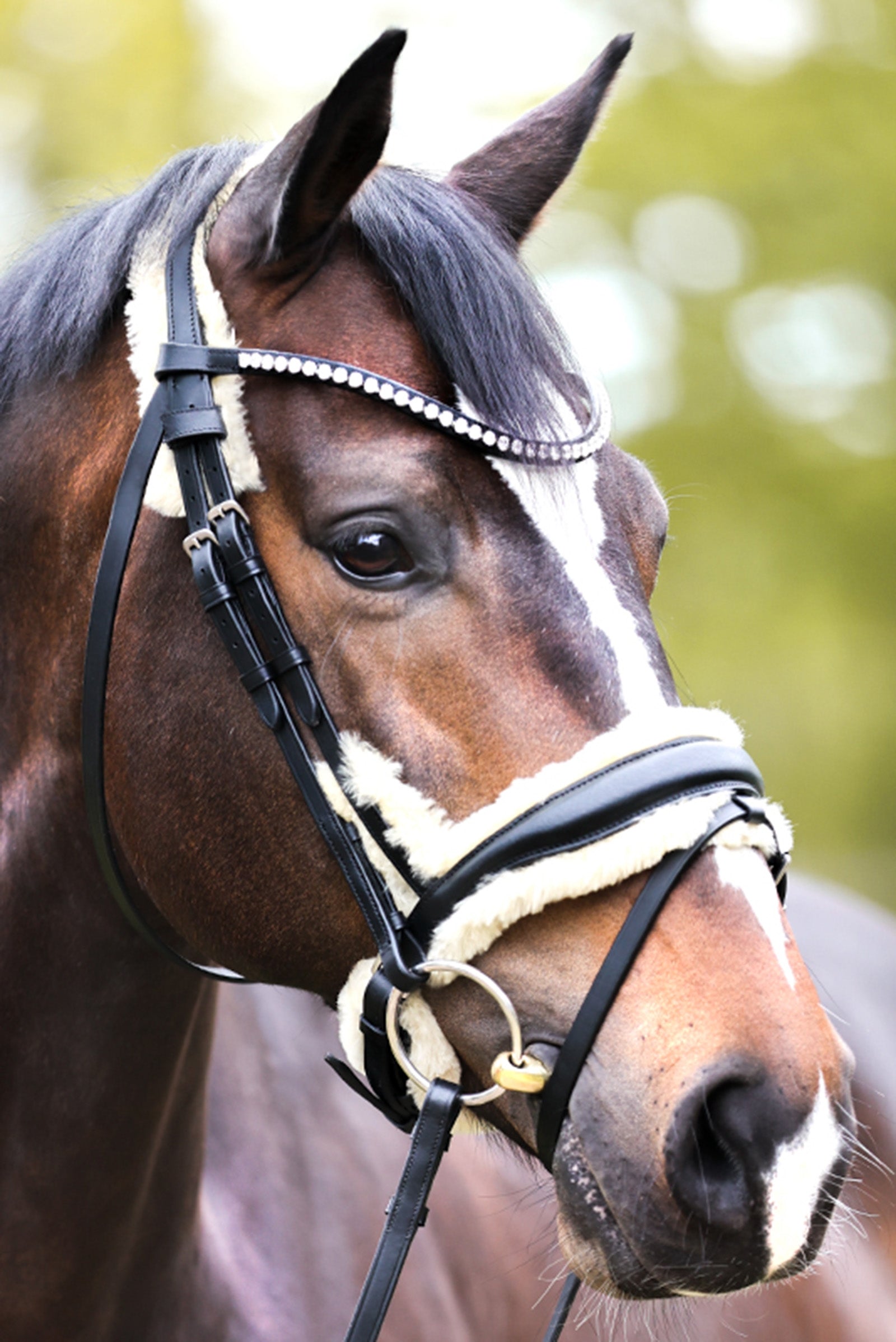 Kavalkade Joyce KavalSH4 Bridle Hoofdstellen & Teugels
