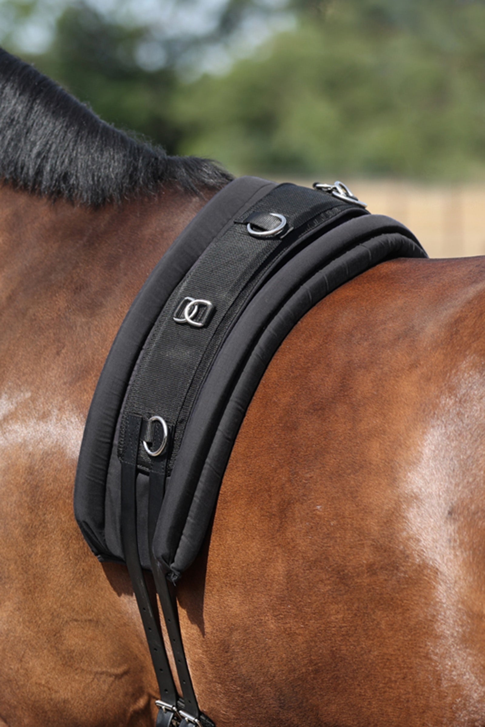 Kavalkade Lunging Girth Pad Saddles, Girths & Stirrups