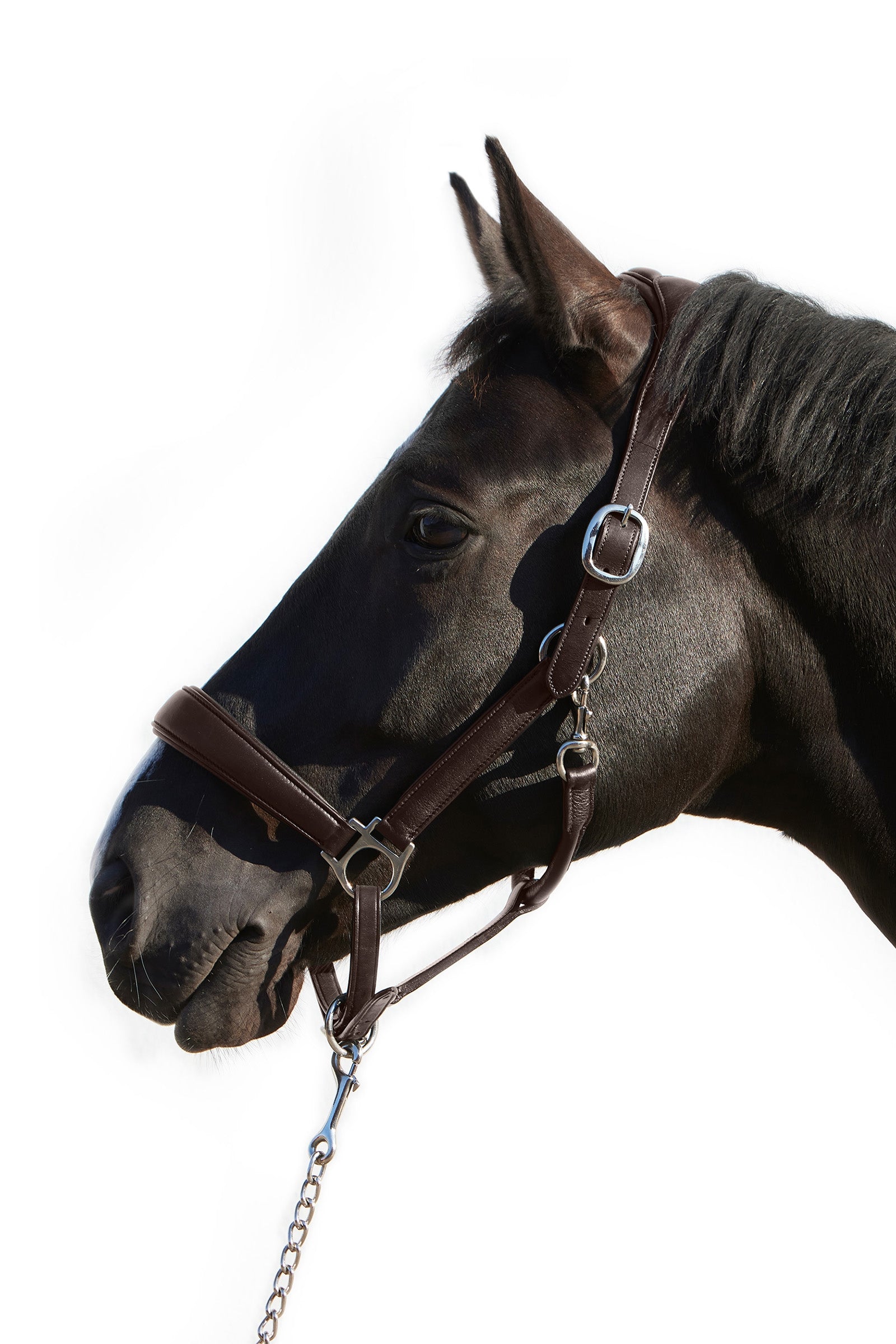 Kieffer Ultrasoft® Deluxe Leather Headcollar Halters & Leads