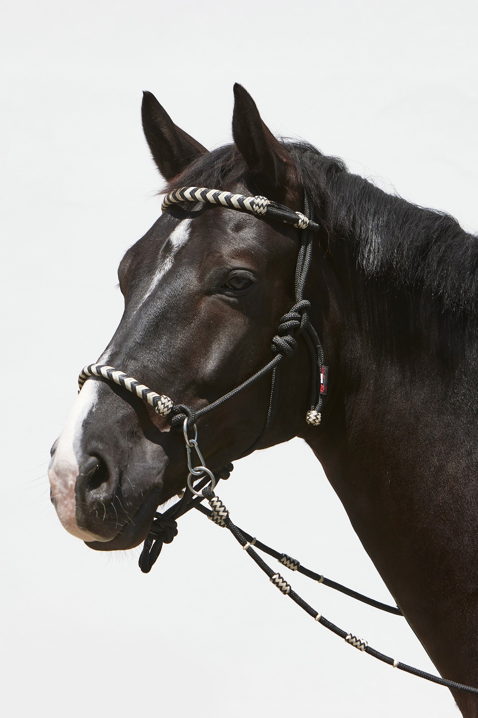 Kieffer Enya touwhalster Halsters & Halstertouwen