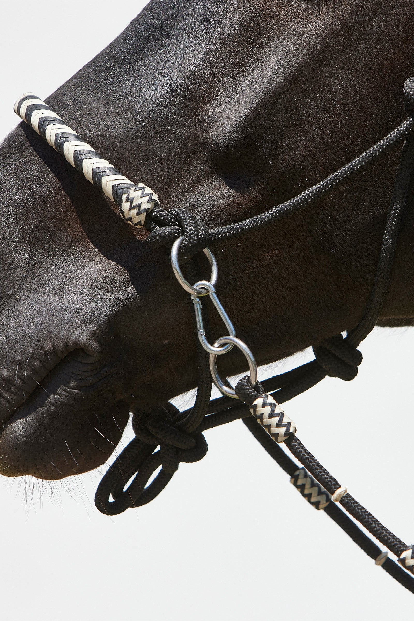 Kieffer Enya Rope Halter Halters & Leads