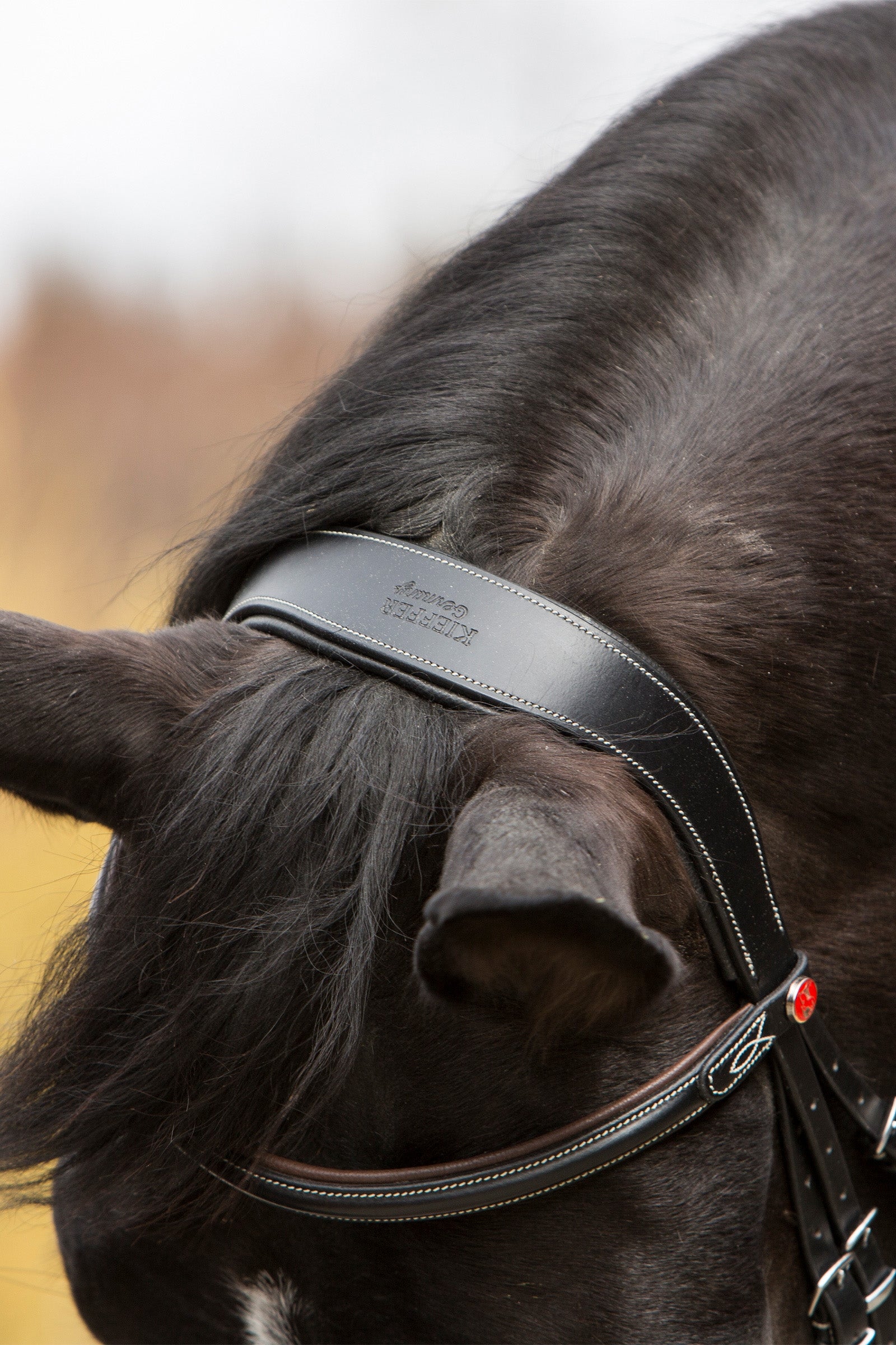 Kieffer Vera Bridle Bridles & Reins