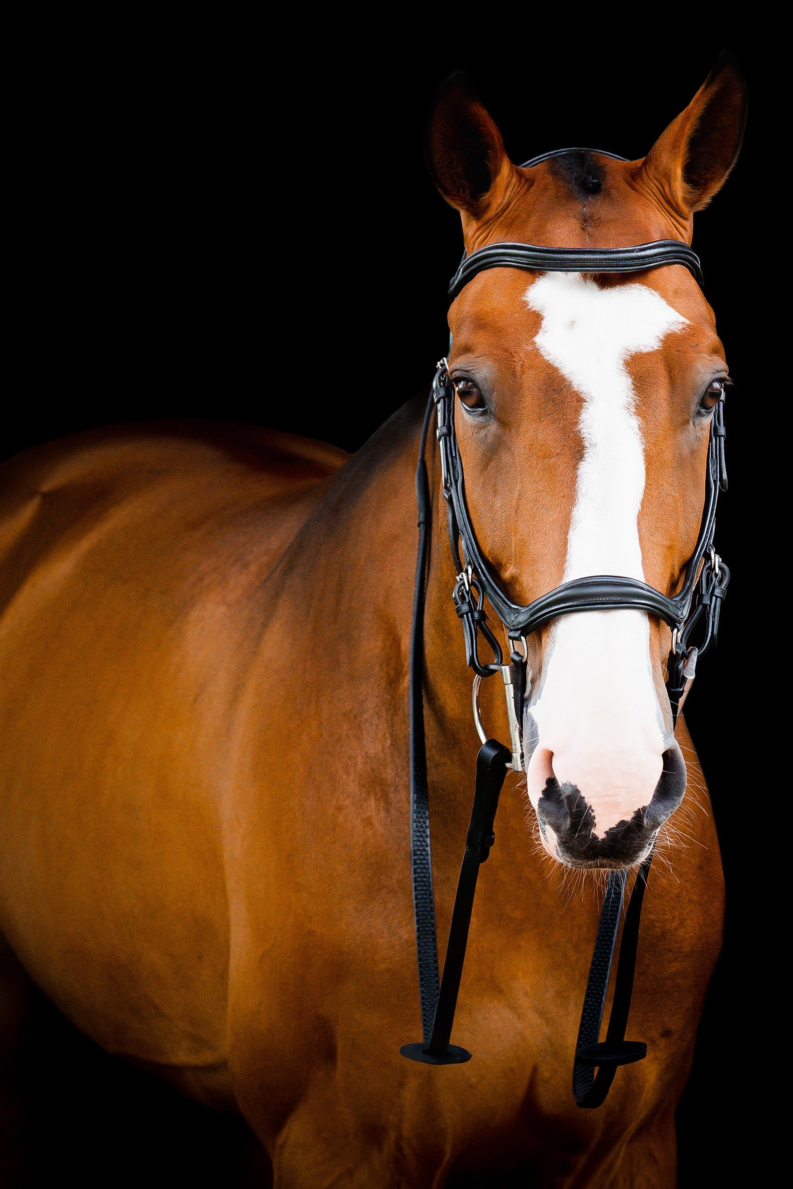 Horseware Micklem 2 Deluxe Competition Hoofdstel Hoofdstellen & Teugels
