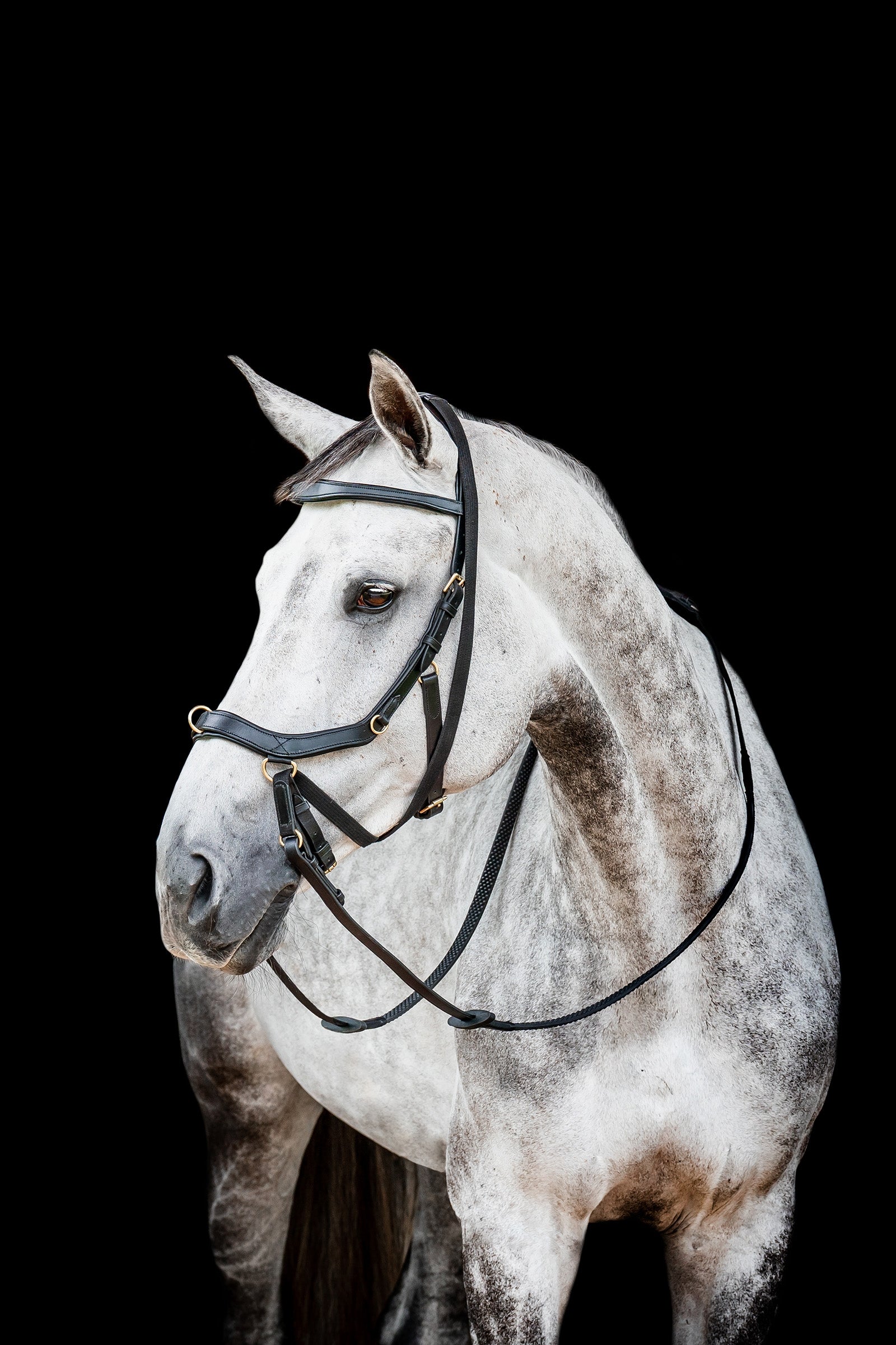 Horseware Micklem 2 Multi Hoofdstel Hoofdstellen & Teugels