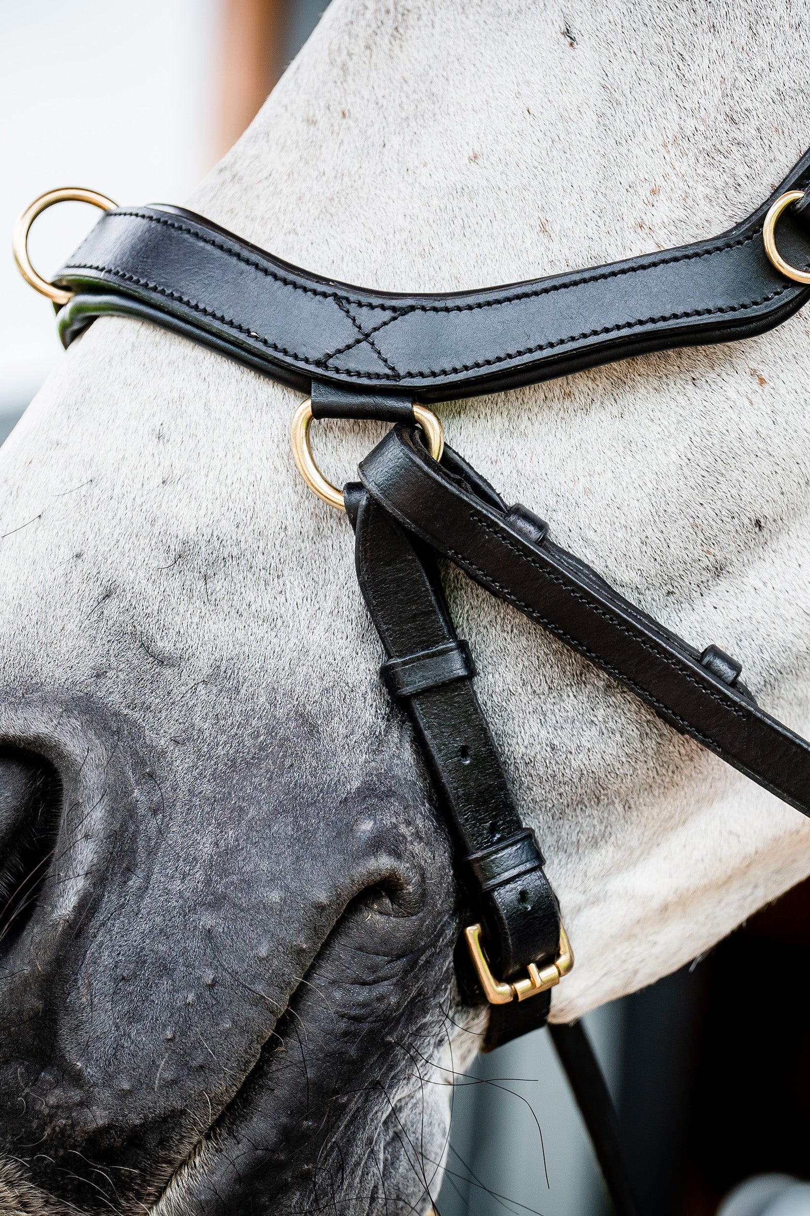 Horseware Micklem 2 Multi Bridle Bridles & Reins