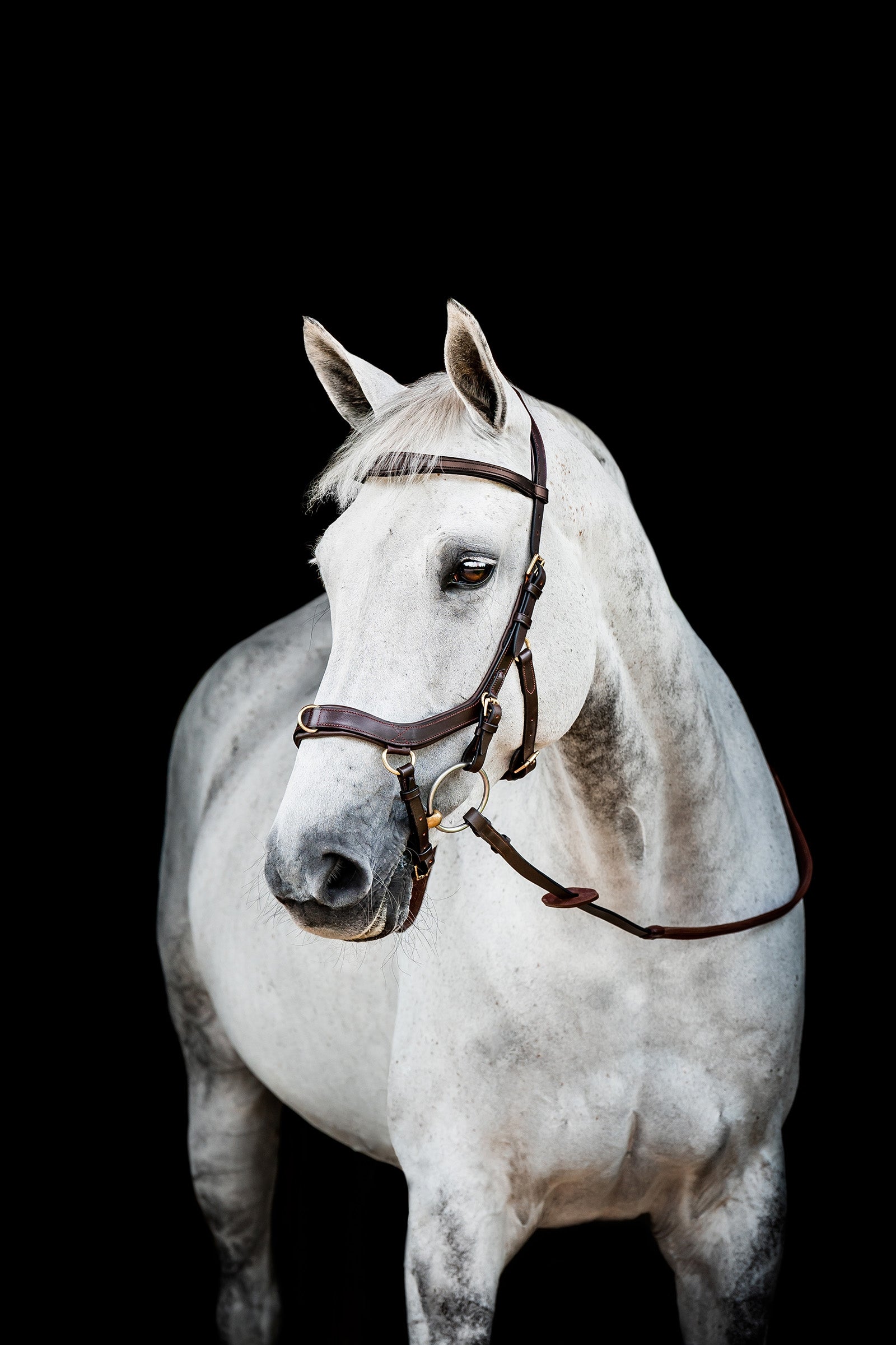 Horseware Micklem 2 Multi Hoofdstel Hoofdstellen & Teugels